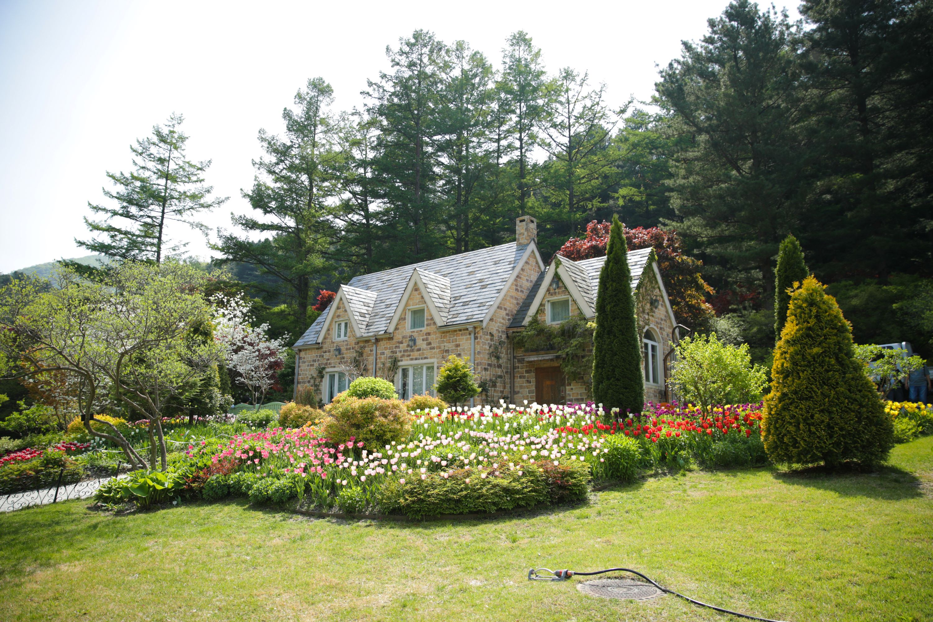 春天，繁花盛開，奼紫嫣紅；夏天，綠意盎然，景色宜人。晨靜樹木園是您放鬆身心、盡享韓國四季之美的絕佳去處。