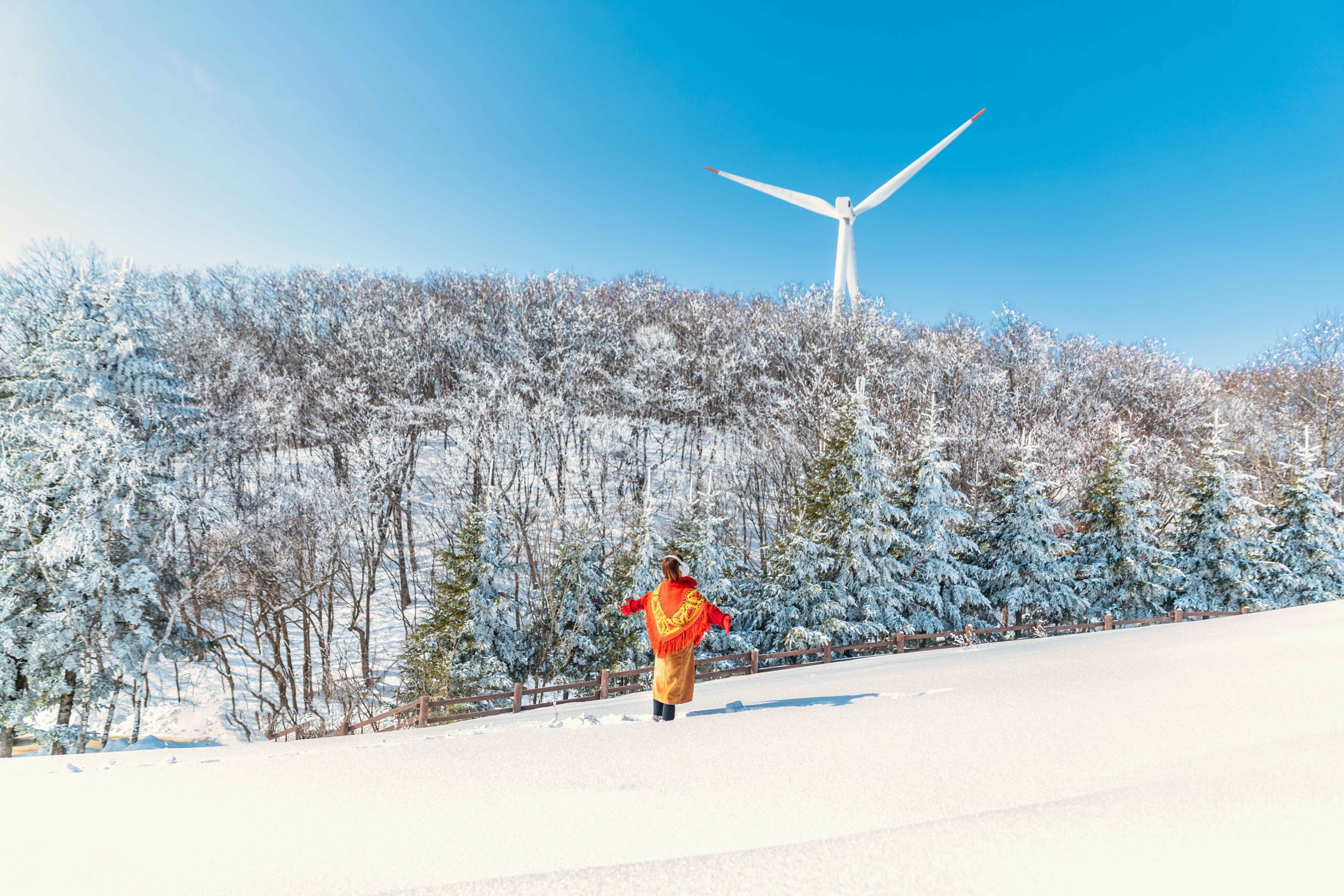 在湛藍天空下的寧靜雪坡，可將森林和高地風光盡收眼底。