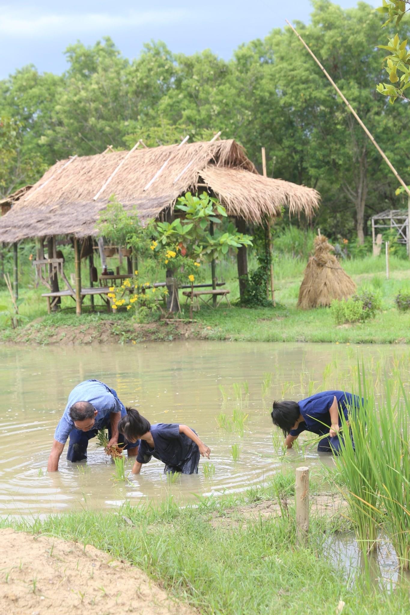 Join Kid Junior Farmer Experience in Chiang Mai