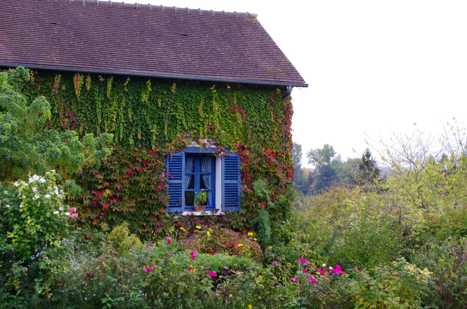 Giverny Claude Monet's House Tours from Paris and Multiple Locations