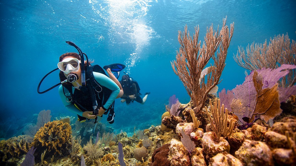 Explore Underwater Wonders: Open Water in Phuket with PADI Center