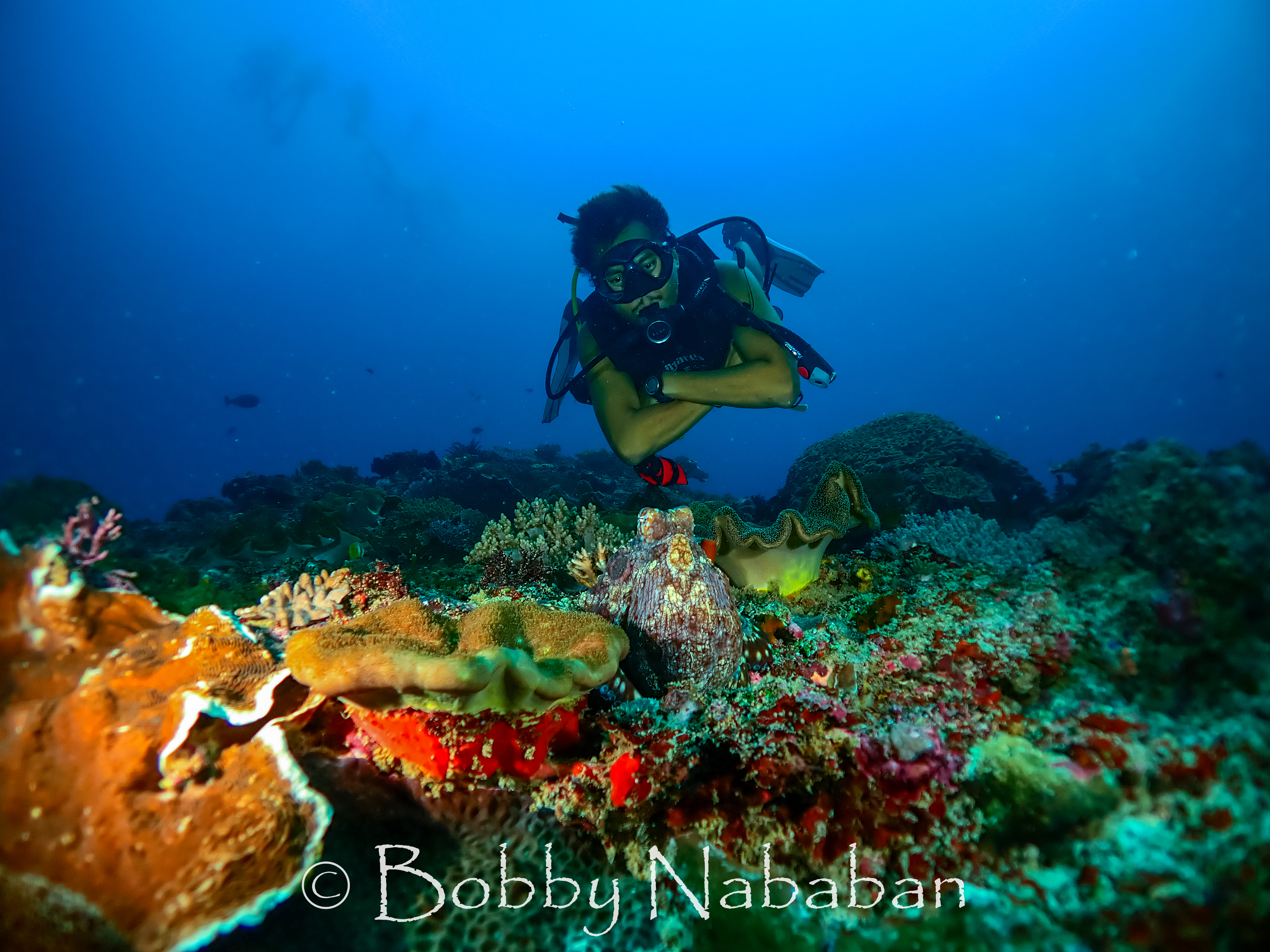 Unlock the Depths: Advanced Course in Nusa Penida with PADI 5*Center