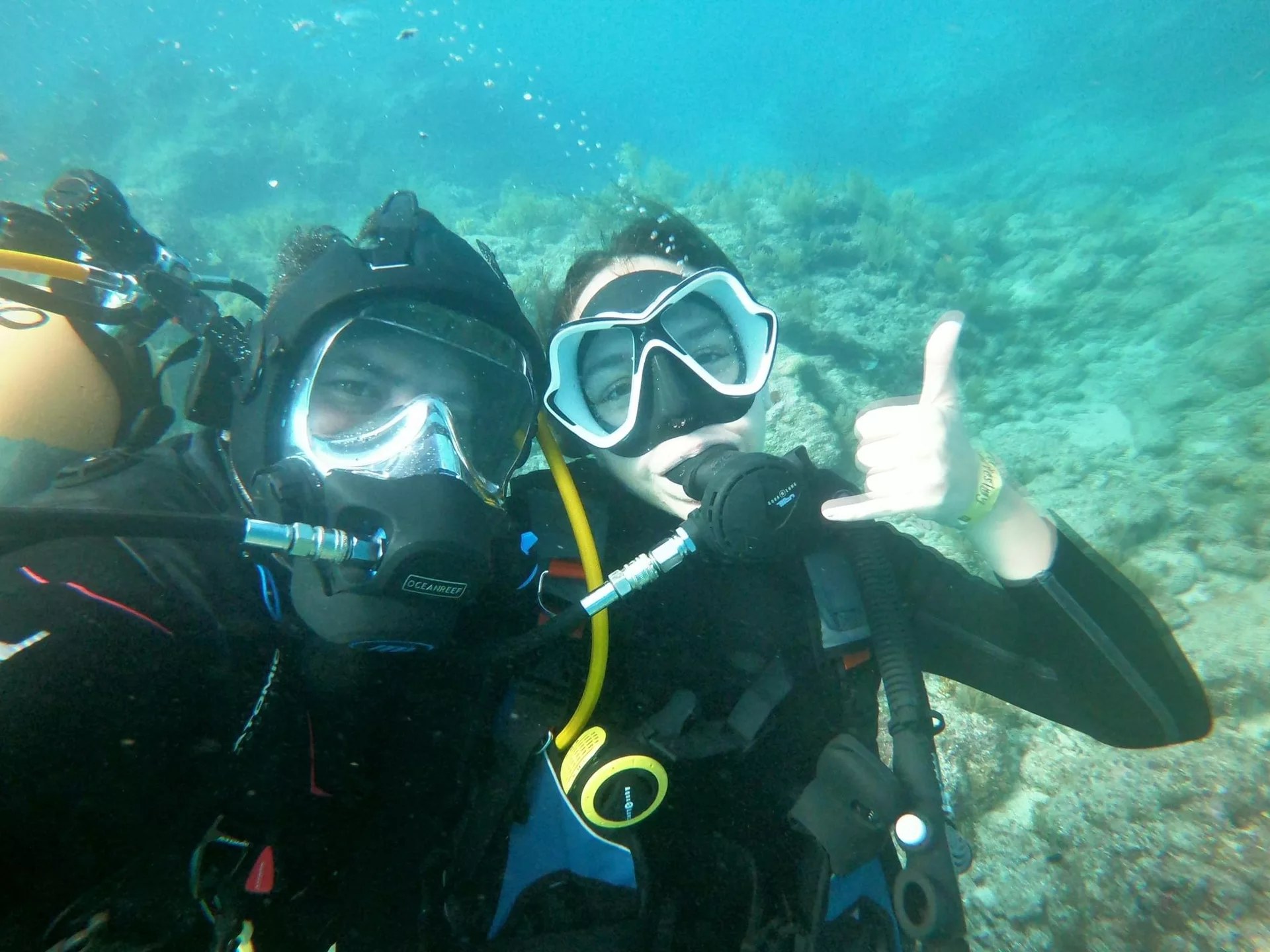探索拉哥島的奇觀：PADI 潛水中心的高級課程