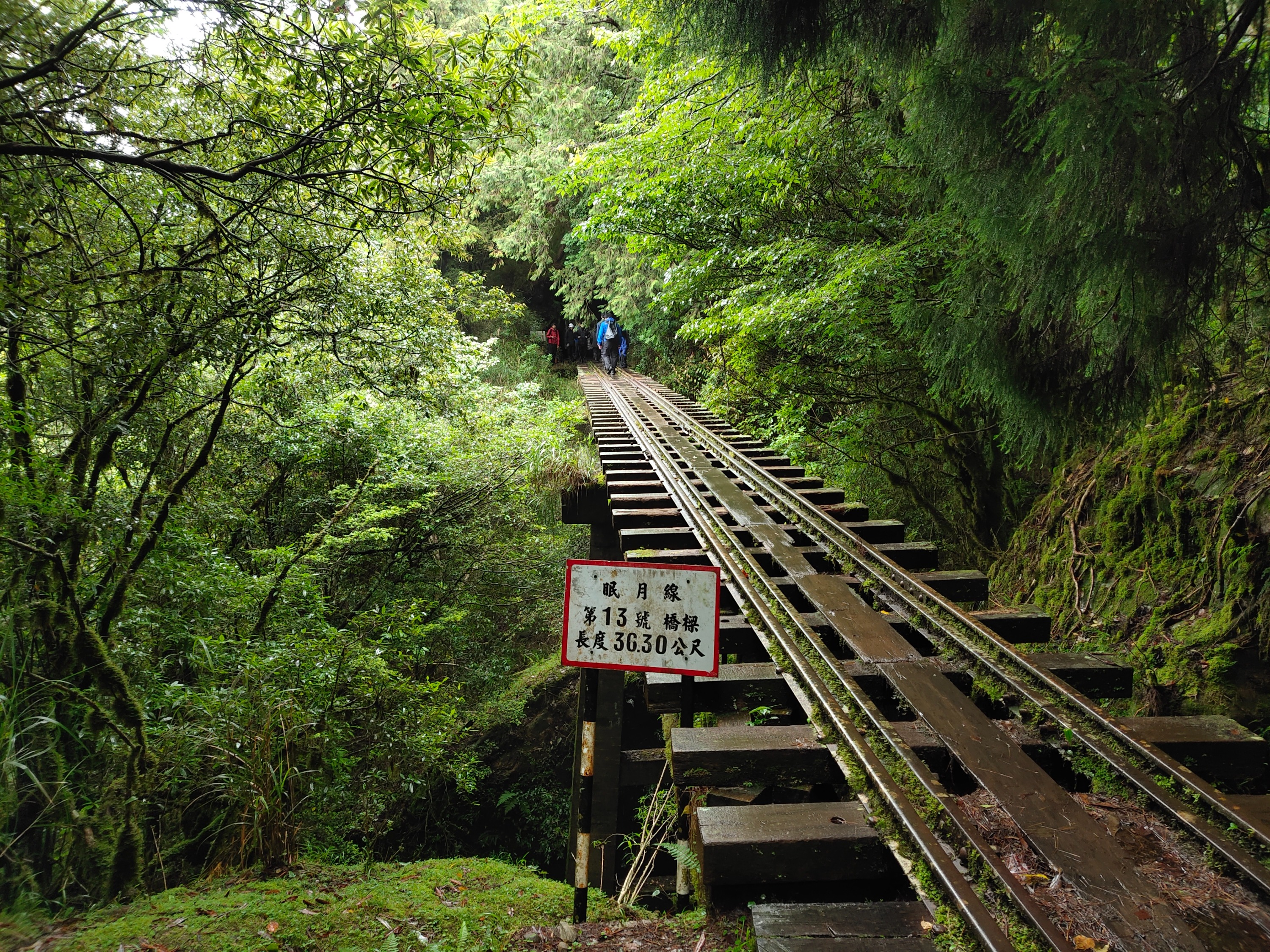 嘉義｜溪阿縱走登山三日三夜體驗