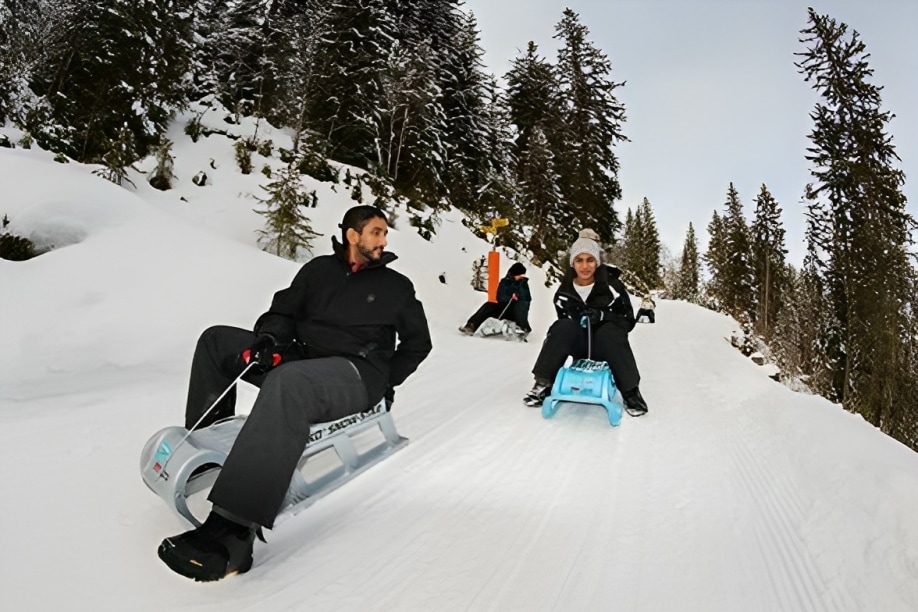 Day Sledding Experience from Interlaken