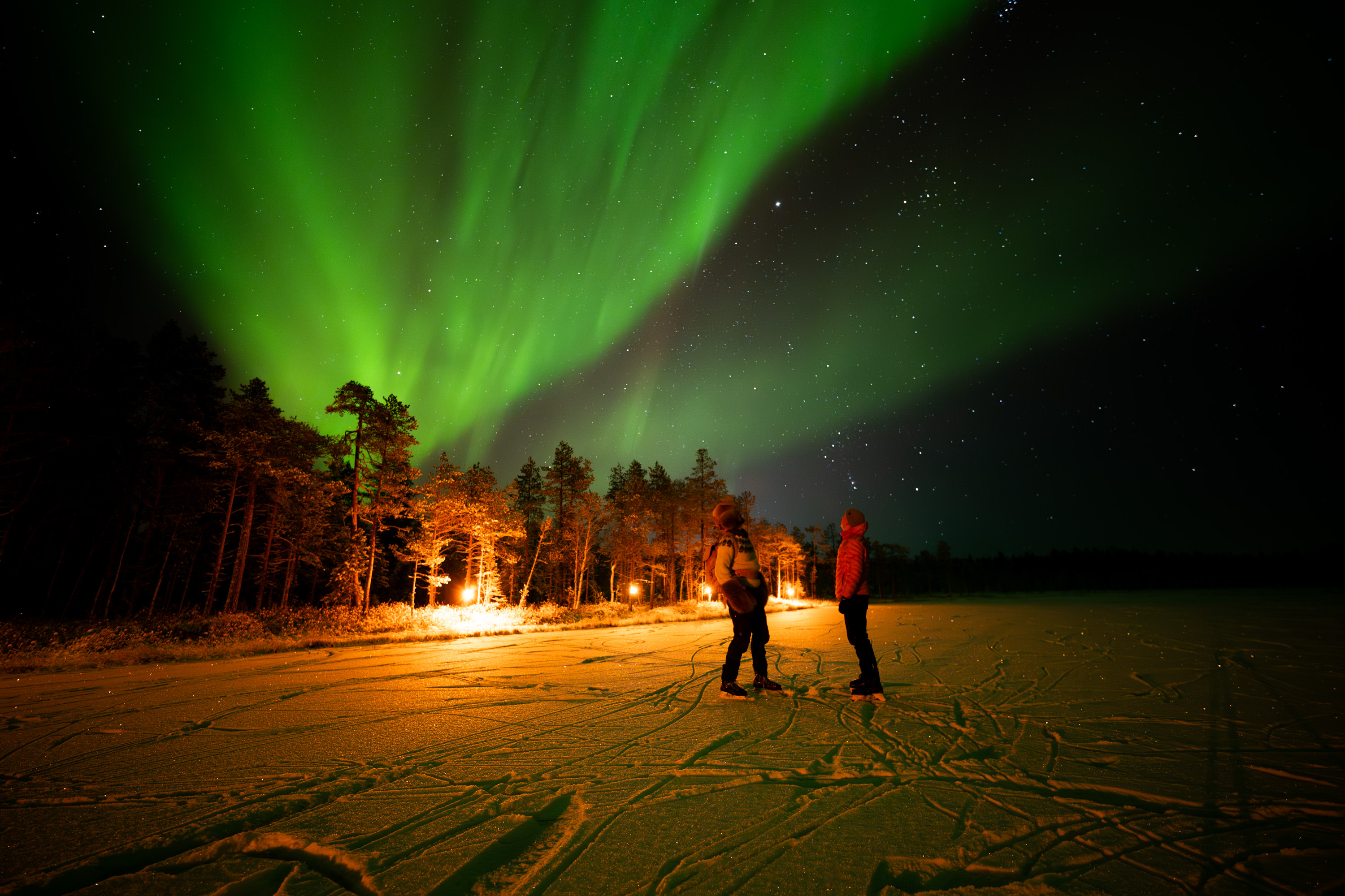Aurora Hunt: Guided Northern Lights Tour in Ranua