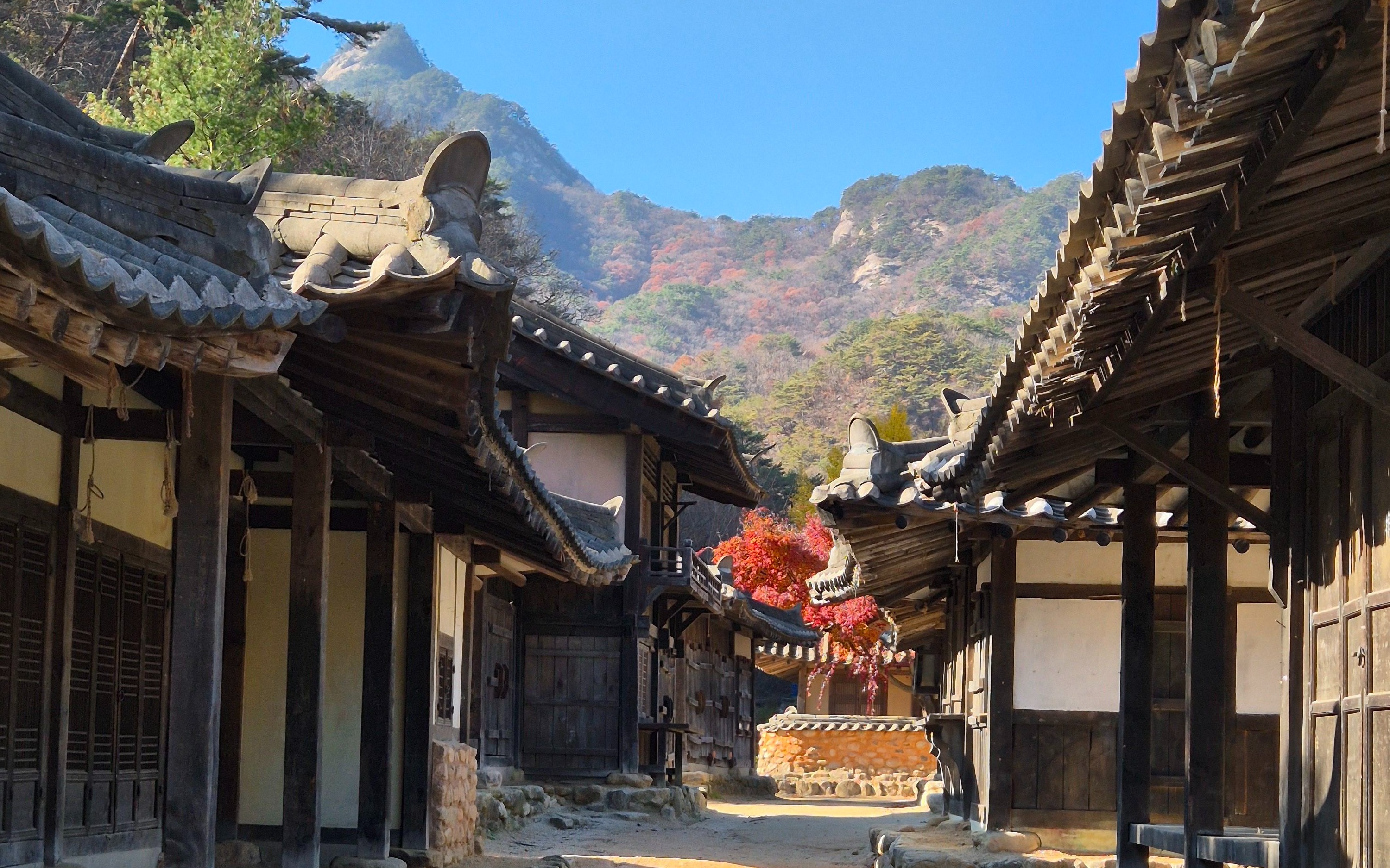 Mungyeong and Andong Hiking & UNESCO Heritage Tour from Seoul