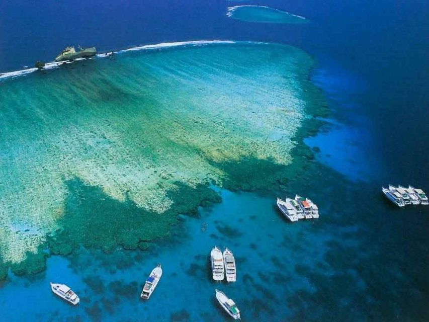 沙姆沙伊赫：蒂朗島遊輪之旅（附介紹潛水） & 午餐