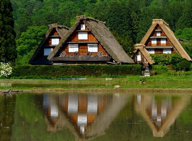 從大阪出發，暢遊立山黑部、上高地、白川鄉三日巴士之旅