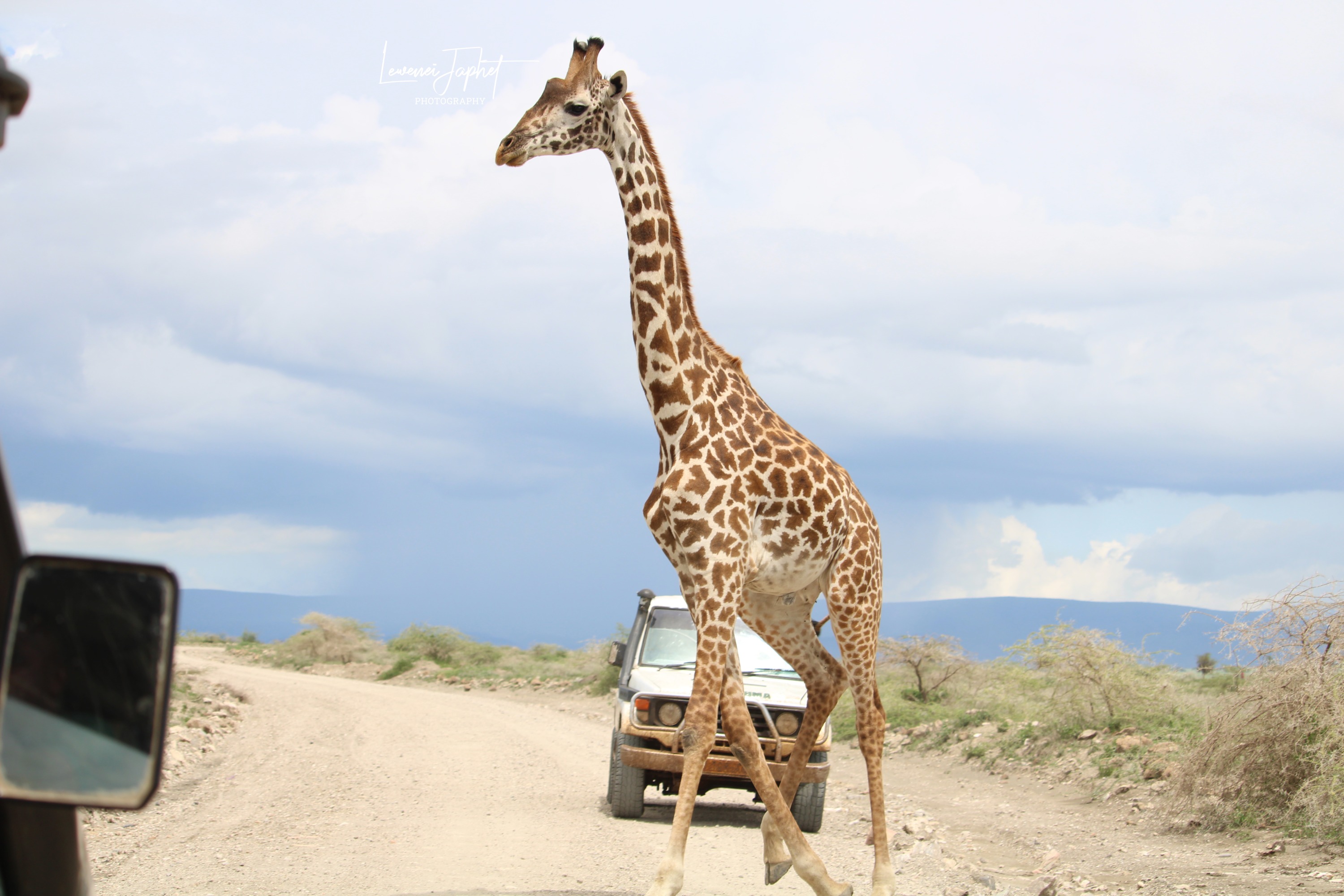 3 Days 2 Nights Masai Mara Small Group Safari