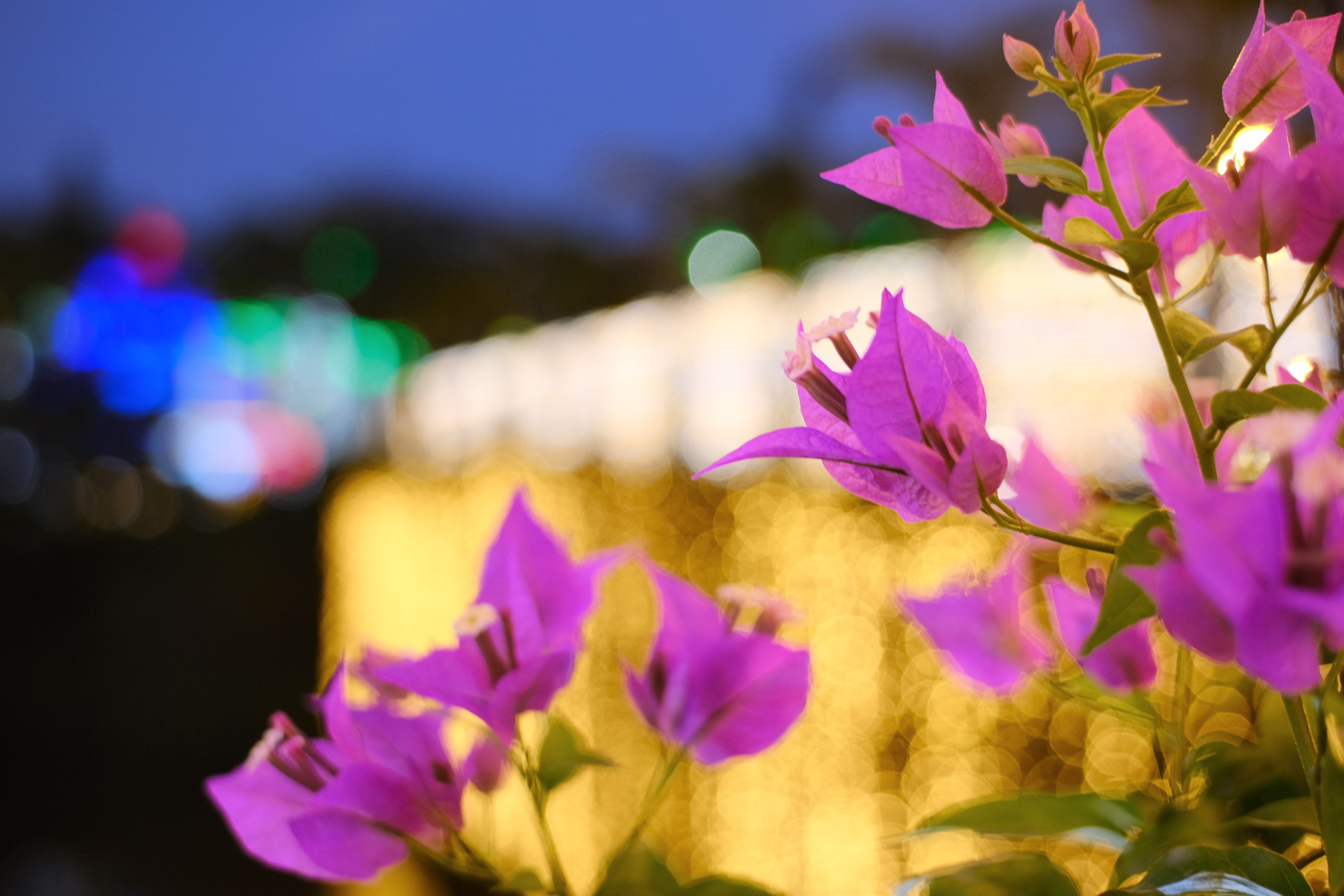 東南植物樂園門票