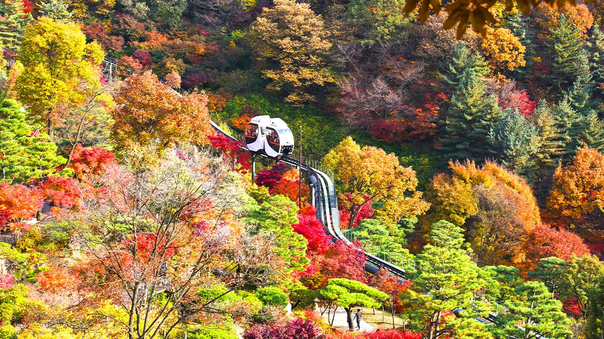 洞內景觀美麗，常年恆溫11℃，是韓國著名的避暑勝地