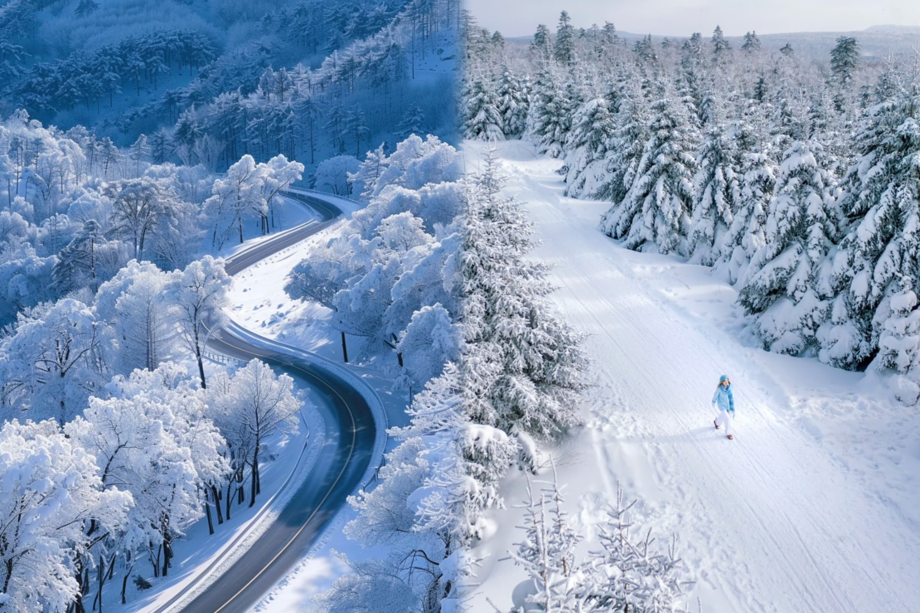 【最美亞雪公路景點介紹】
亞雪公路全長93公里，貫穿於亞布力和雪鄉兩大國家森林公園的群山之中。遠望銀裝素裹的群山🏔️峰谷相連，就像小說裡的仙山，如夢似幻；近看一棵棵筆直的青松翠柏🌴被厚厚的積雪裝點著，依舊肅然站立。 乘坐雪地摩托車登大禿頂子山🏔️欣賞晶瑩剔透的高山雪松，樹掛。那滿枝瓔珞的青松，那齊腰的白雪，那奇異充滿幻想的樹膝、雪掛好似來到冰雪奇緣的王國，美不勝收。