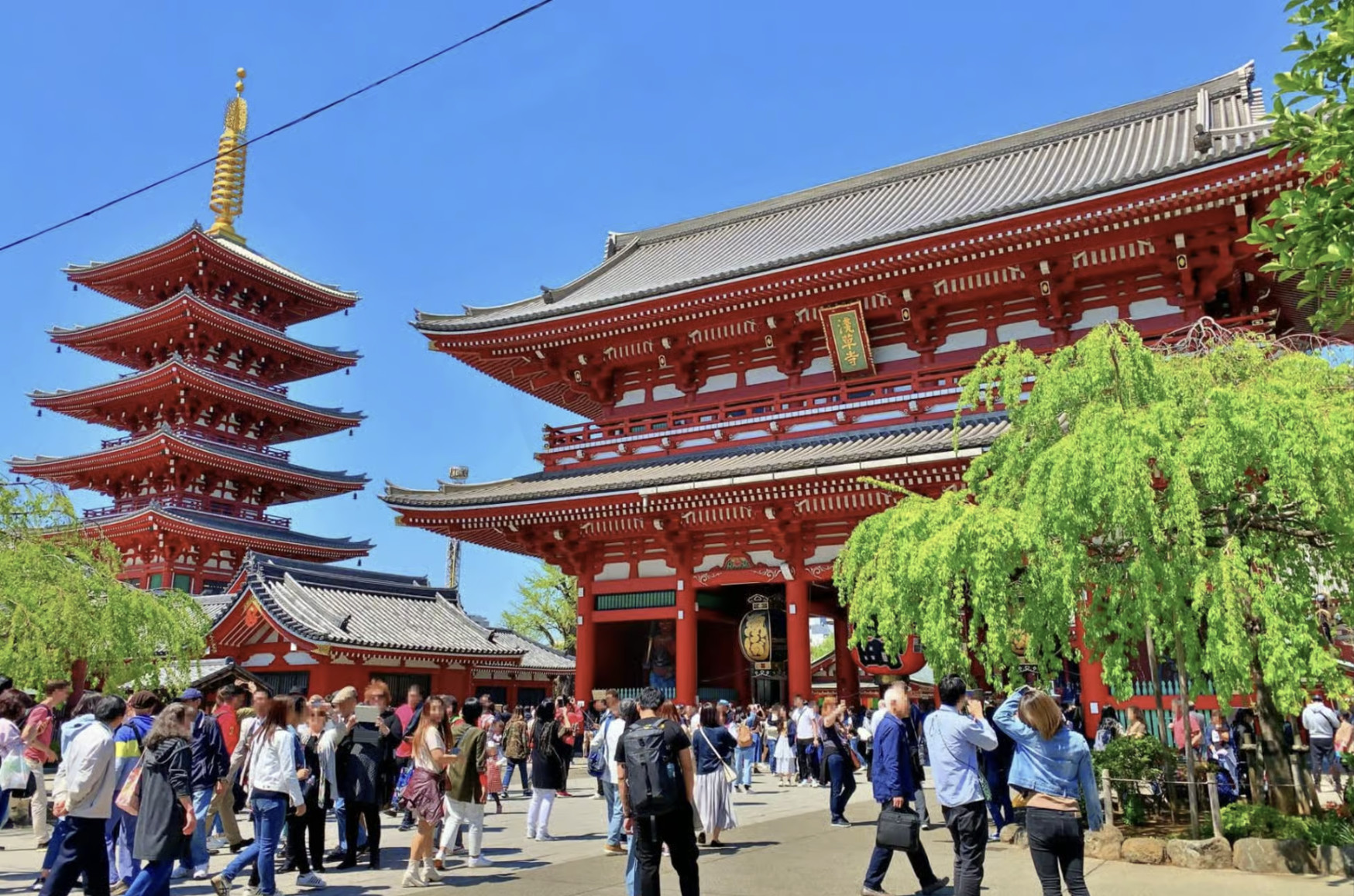 Sensoji Temple & Kappabashi Half-day Cultural & Historical Tour