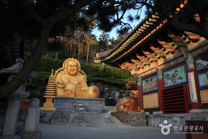 這座寺廟建於1376年，歷史悠久，在日出時尤其受歡迎，屆時金色的光芒將佛像和石燈籠沐浴在寧靜的光輝中。