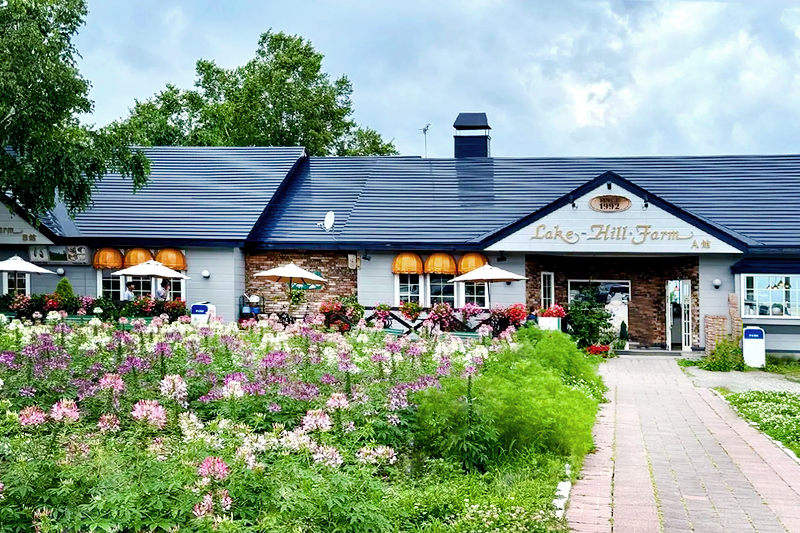 萊克希爾農場:以其壯麗的湖景和遠眺羊蹄山的視野而聞名。靜謐的北歐童話小鎮,是放鬆身心、親近自然的理想之地。 萊克希爾農場:以其壯麗的湖景和遠眺羊蹄山的視野而聞名。靜謐的北歐童話小鎮,是放鬆身心、親近自然的理想之地。