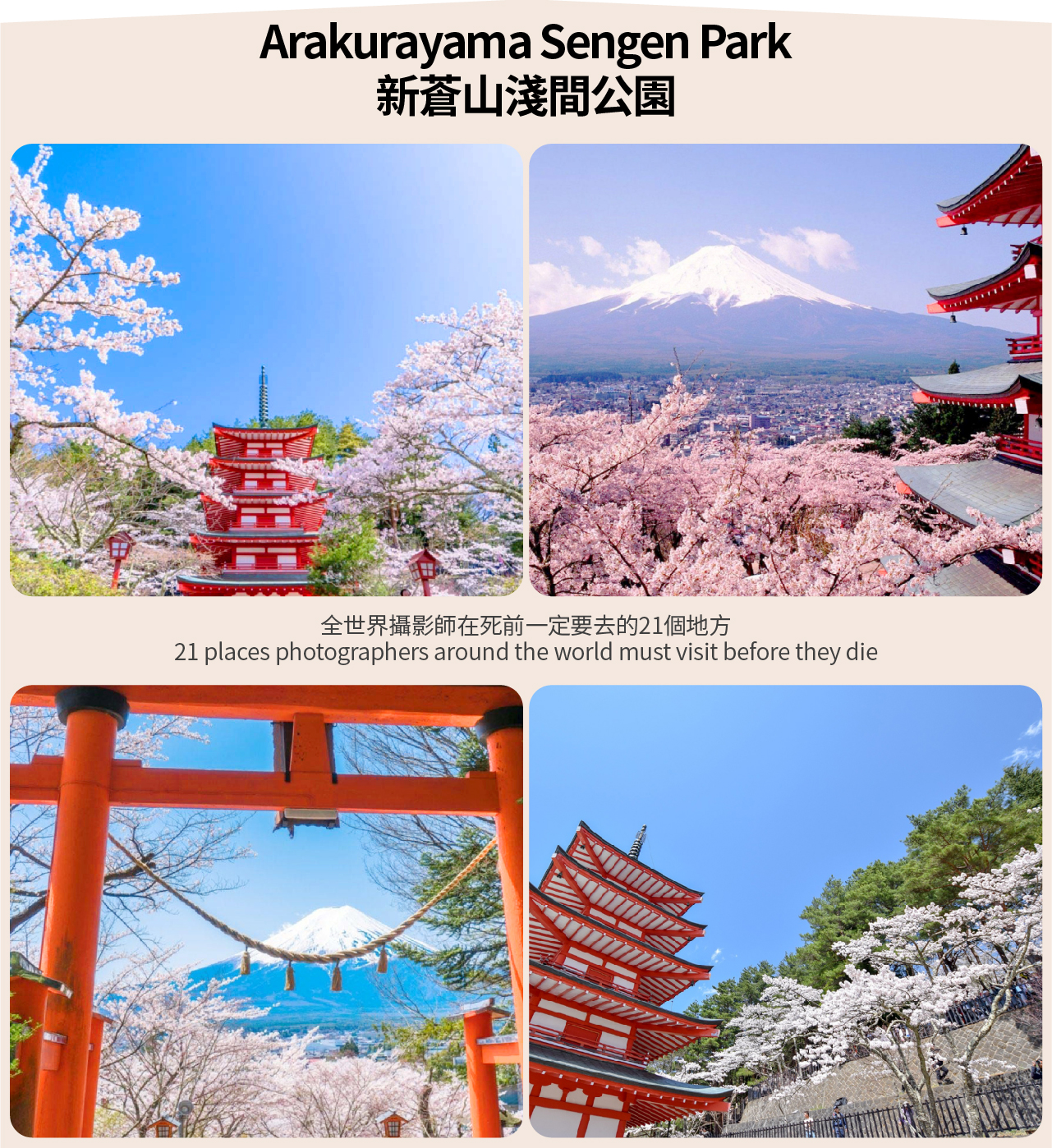 【富士山單車騎行抹茶體驗泡溫泉深度二日遊】河口湖&抹茶體驗&纜車&溫泉&山中湖騎行&忍野八海&新倉山淺間公園深度二日遊
