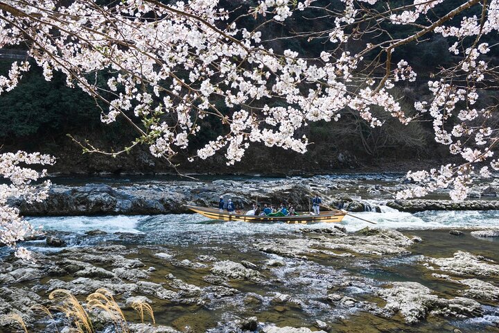 京都嵯峨野浪漫列車與櫻花巴士之旅