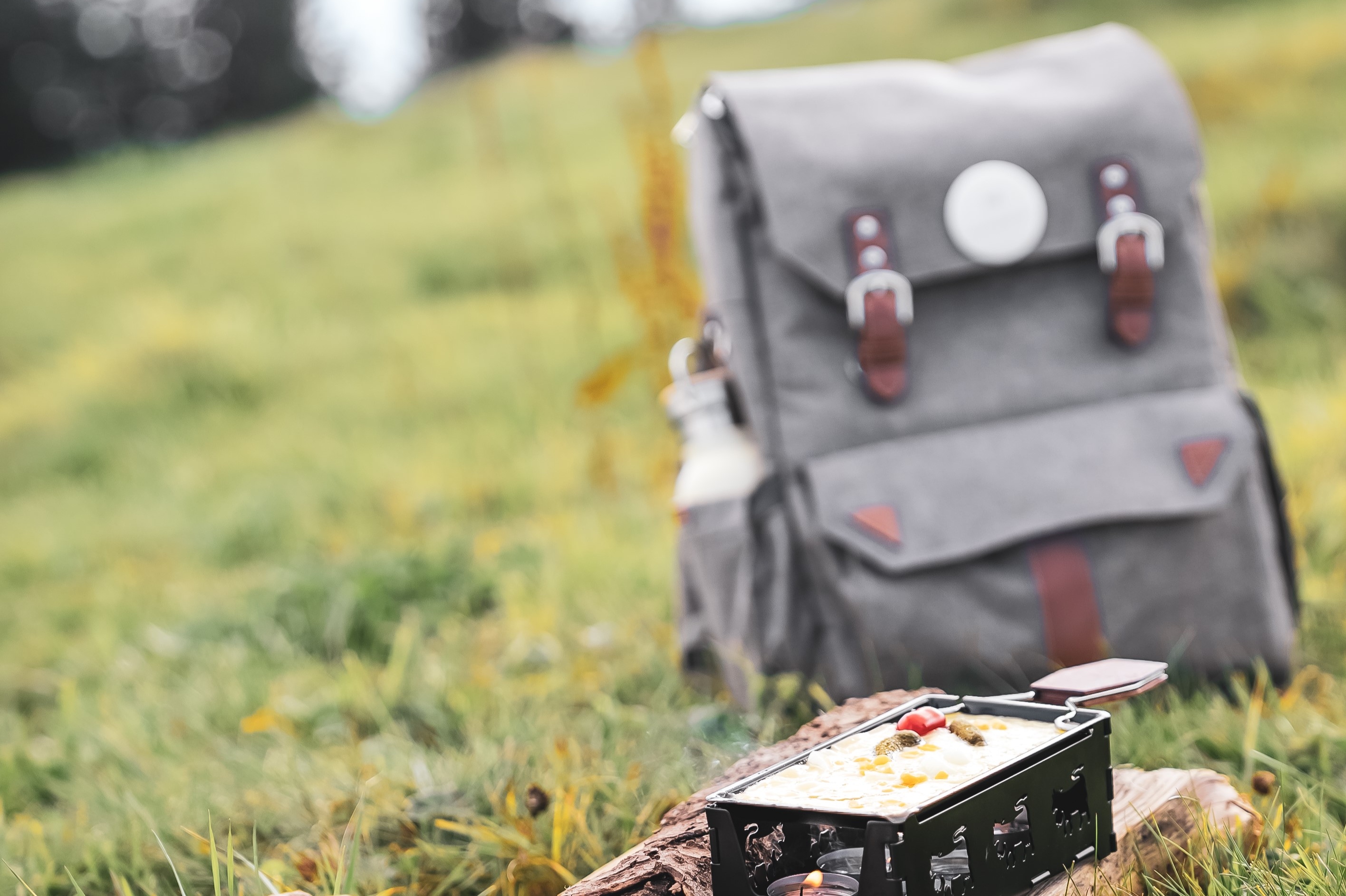 Mount Rigi Scenic Mountain Raclette Picnic 