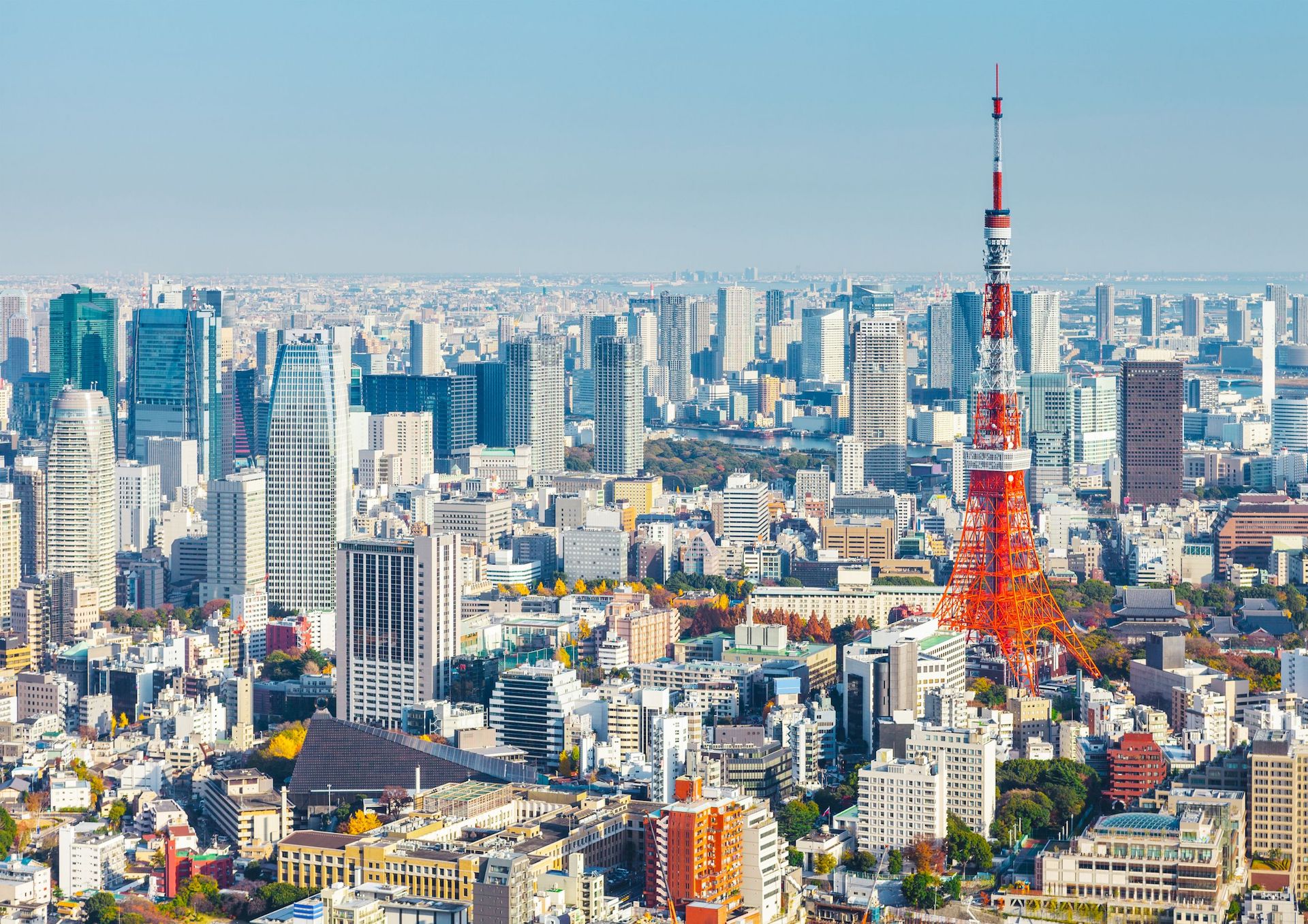 東京壽司與拉麵烹飪及清酒品鑑套餐課程！