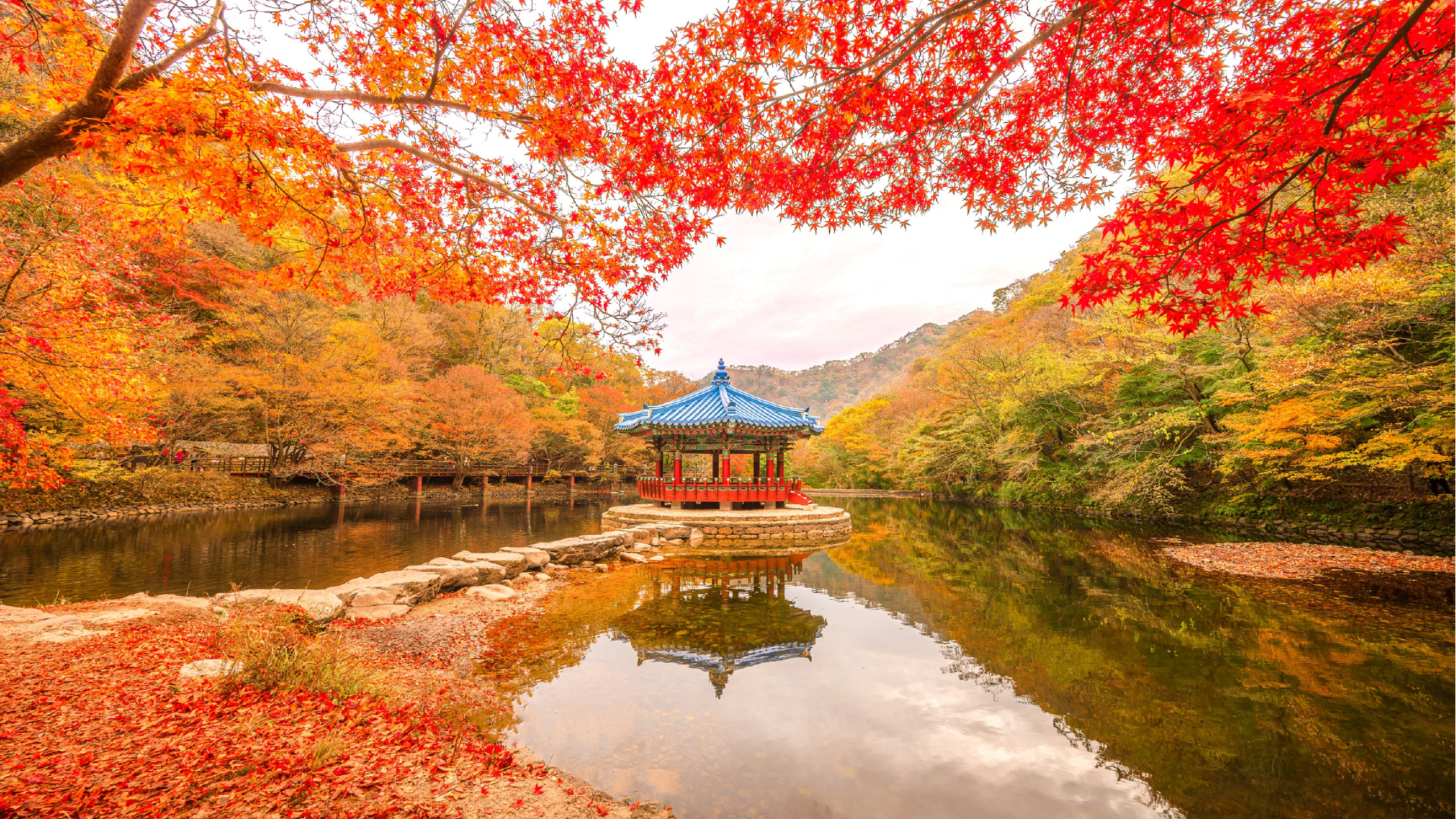 Naejangsan National Park Autumn Foliage One Day Tour from Seoul