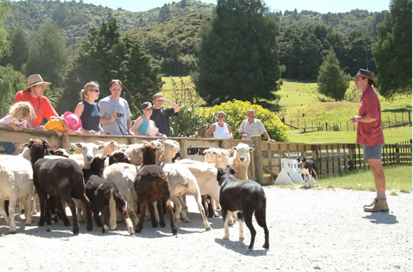 [SALE] 10% Off on SheepWorld Admission Tickets - Ticket KD