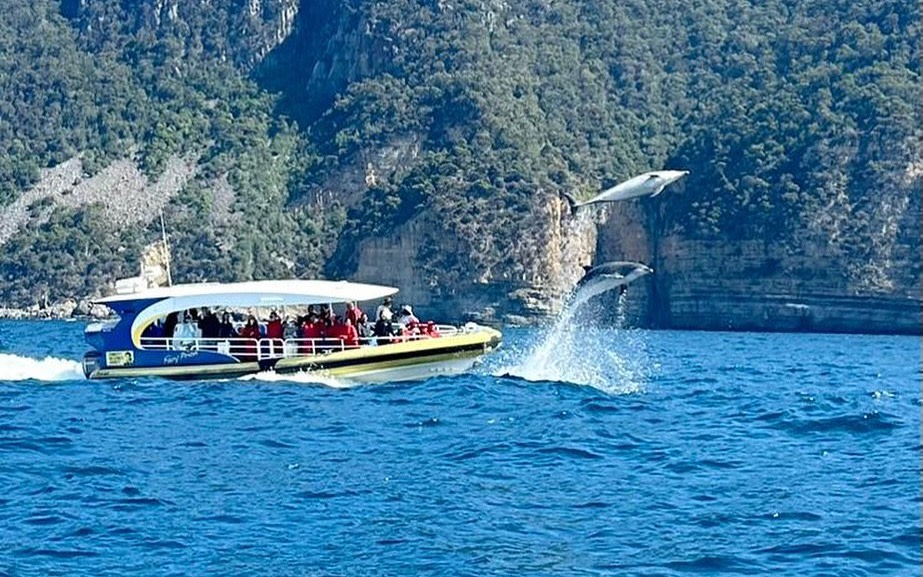 Tasmania 5-Day Bruny Island & Wineglass Bay Tour