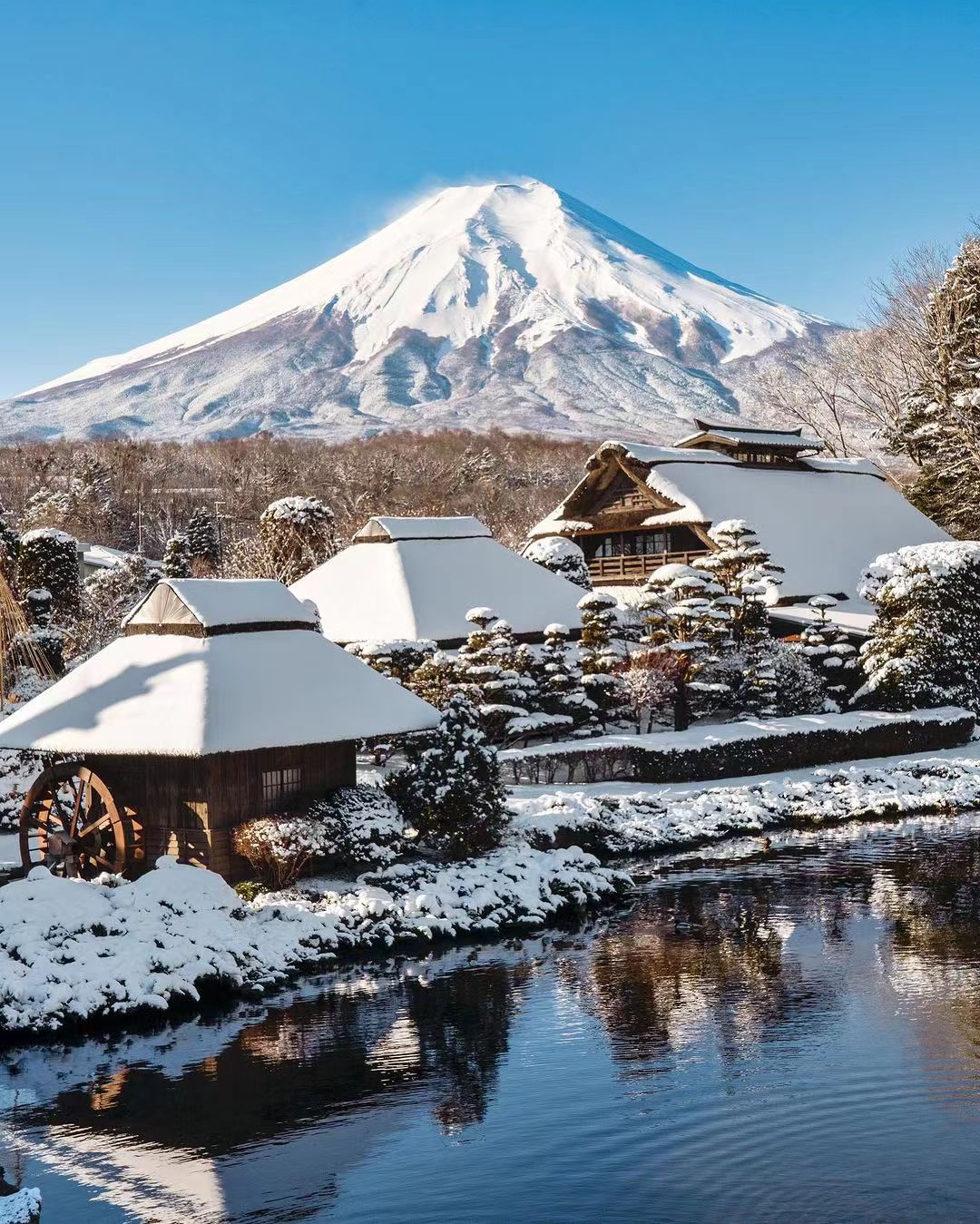 【富士山三湖打卡遊】河口湖&山中湖&精進湖&羅森便利店 （東京出發）
