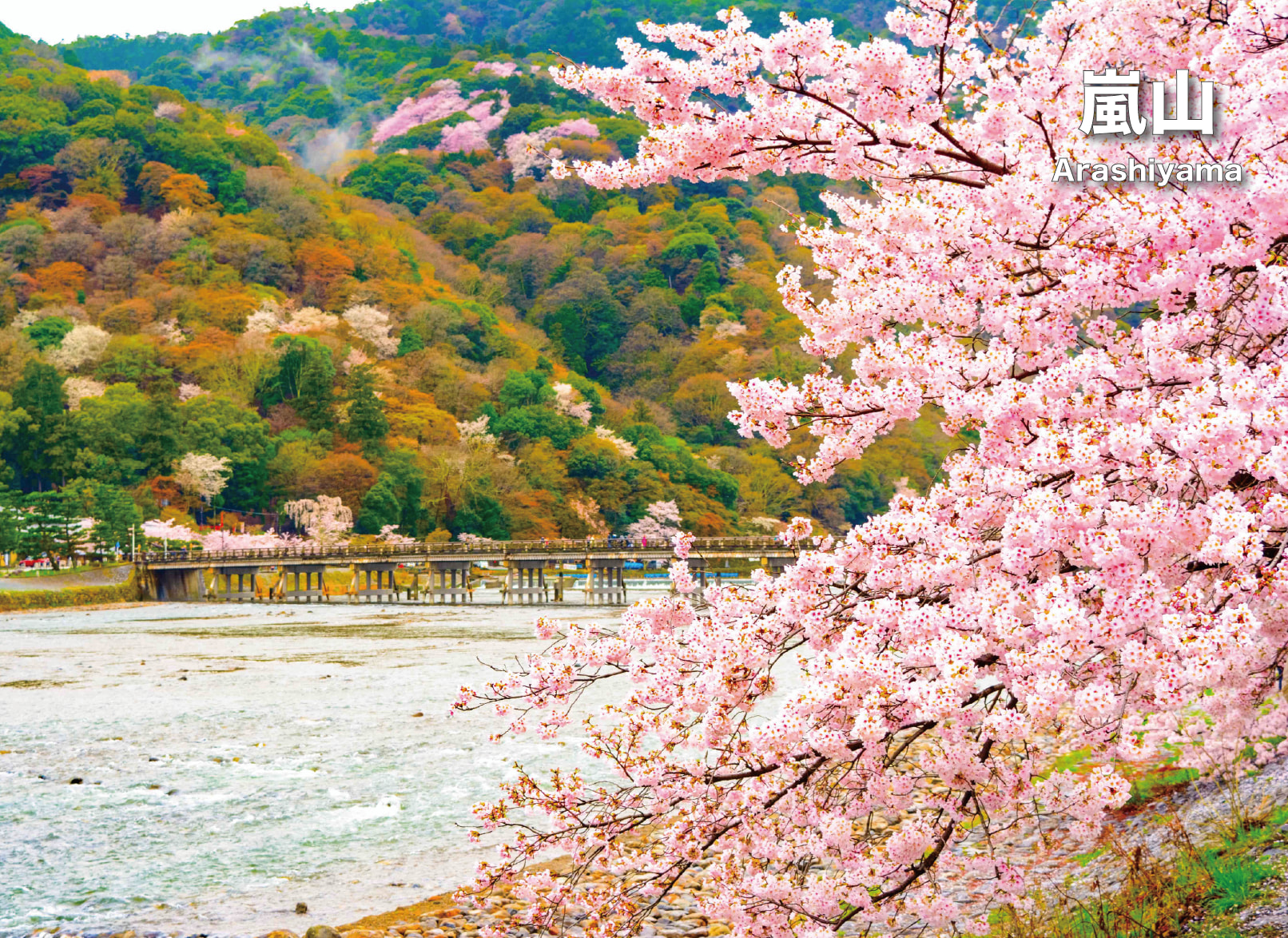 京都經典一日遊丨嵐山&金閣寺&清水寺&伏見稻荷大社（大阪出發）