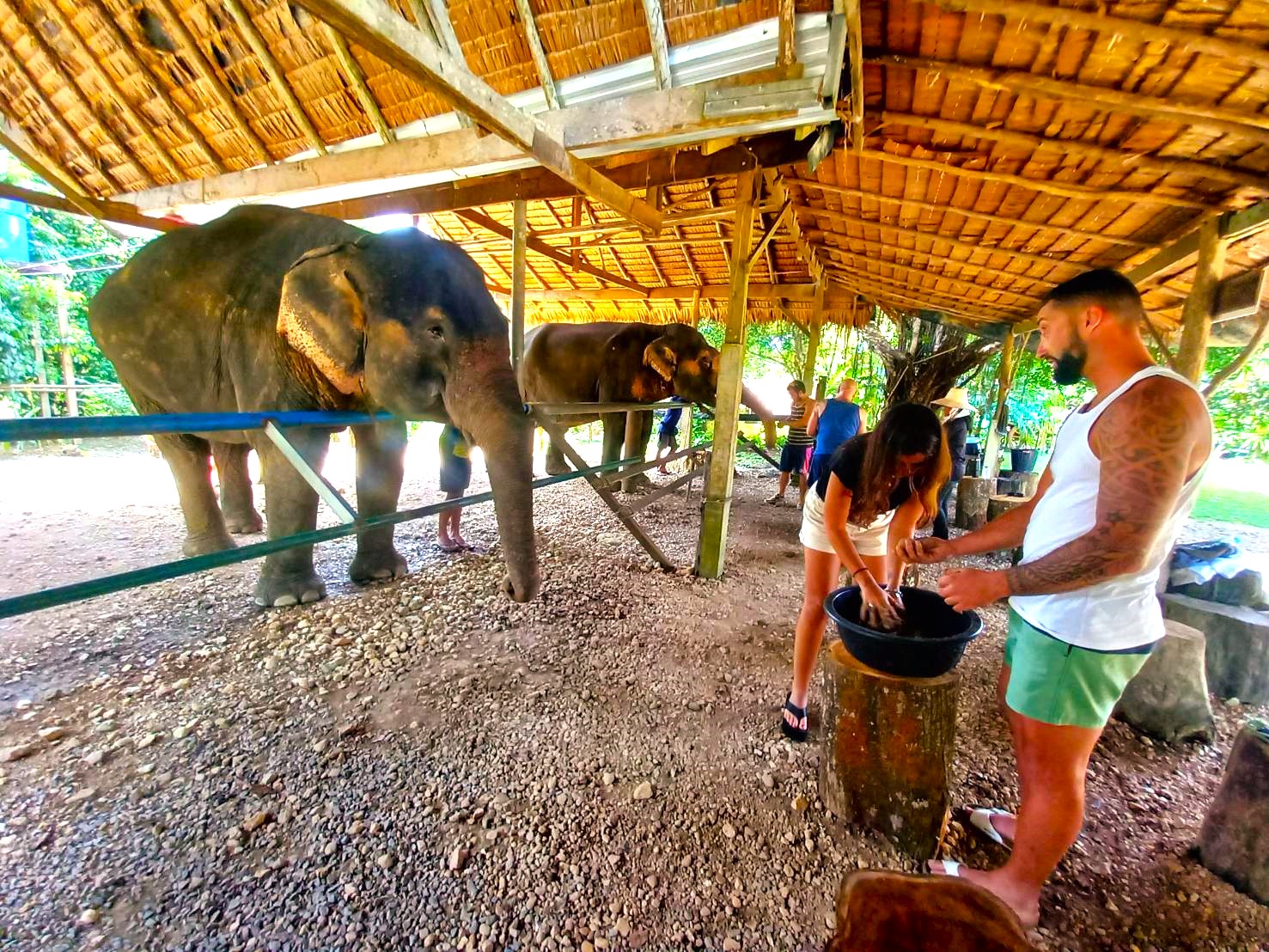 考索大象救援中心（Khao Sok Elephant Rescue Center）一日遊（含漂流 & 烹飪體驗 & 午餐）