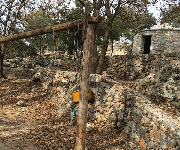Image 4