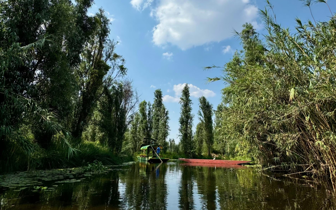 巡遊霍奇米爾科的寧靜水域,沉浸在鬱鬱蔥蔥的自然風光中 巡遊霍奇米爾科的寧靜水域,沉浸在鬱鬱蔥蔥的自然風光中