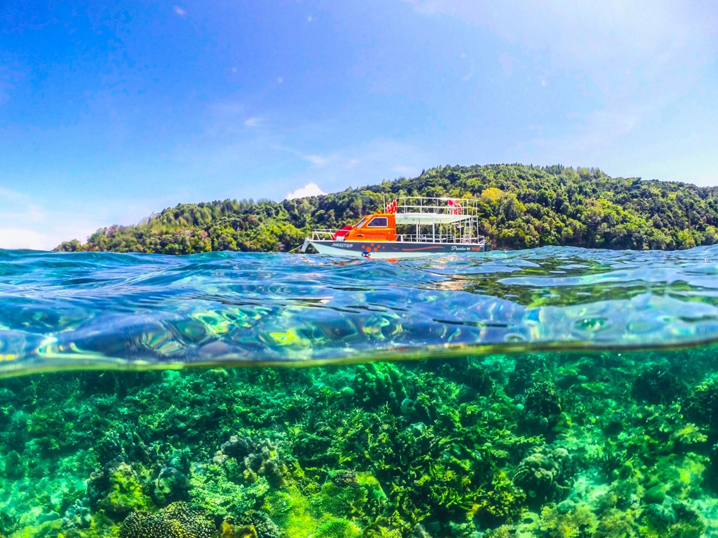 東姑阿都拉曼國家公園之旅（含乘船＆浮潛體驗）