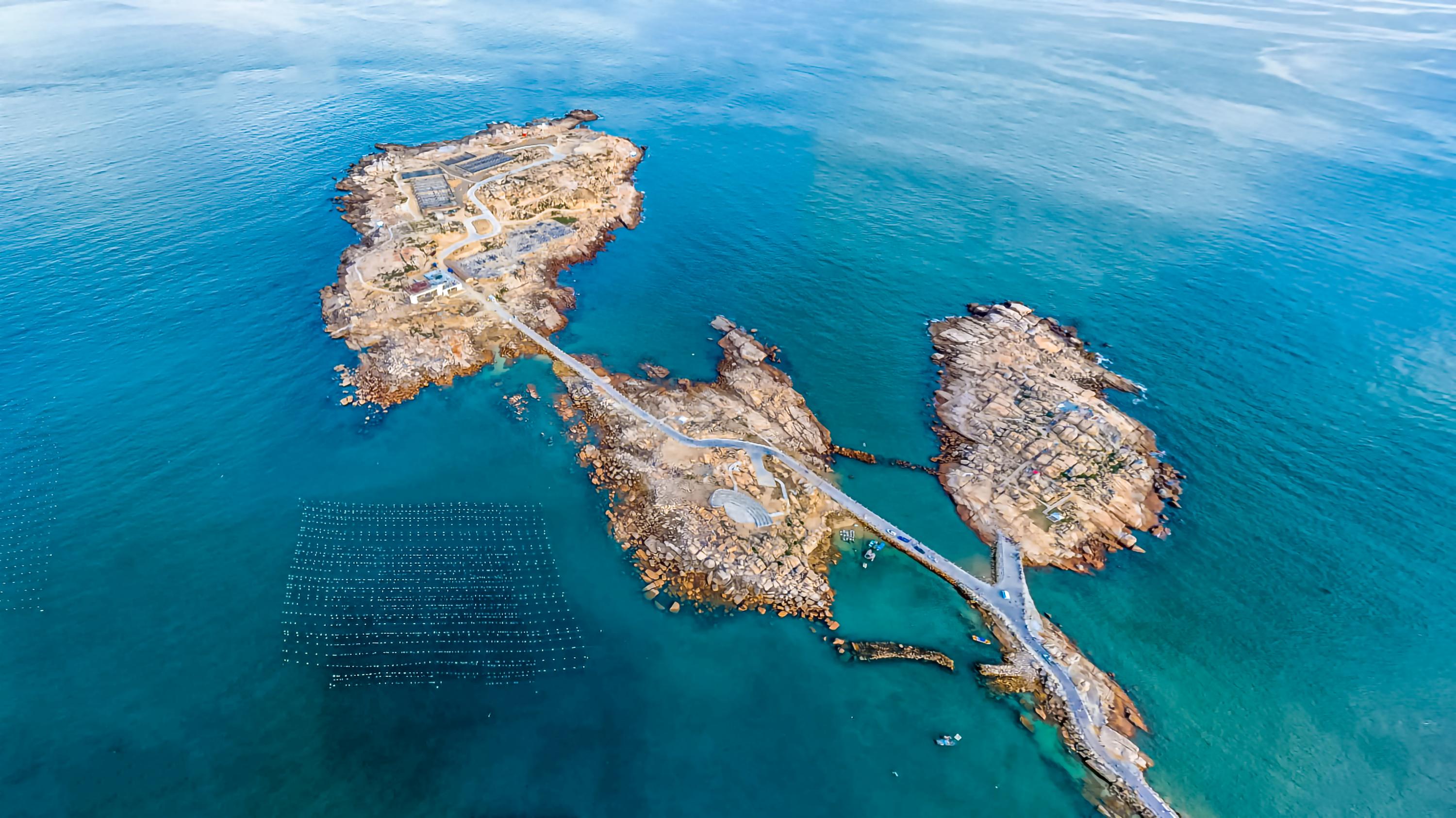 Monkey Research Island