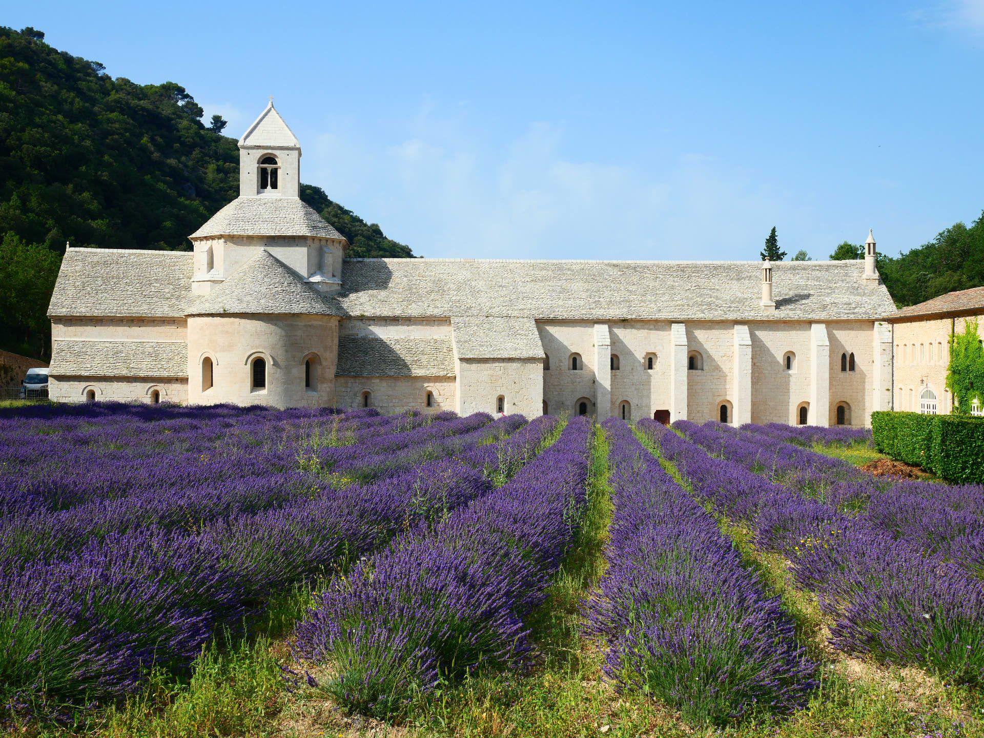 A private tour of Luberon Regional Park with a local expert!