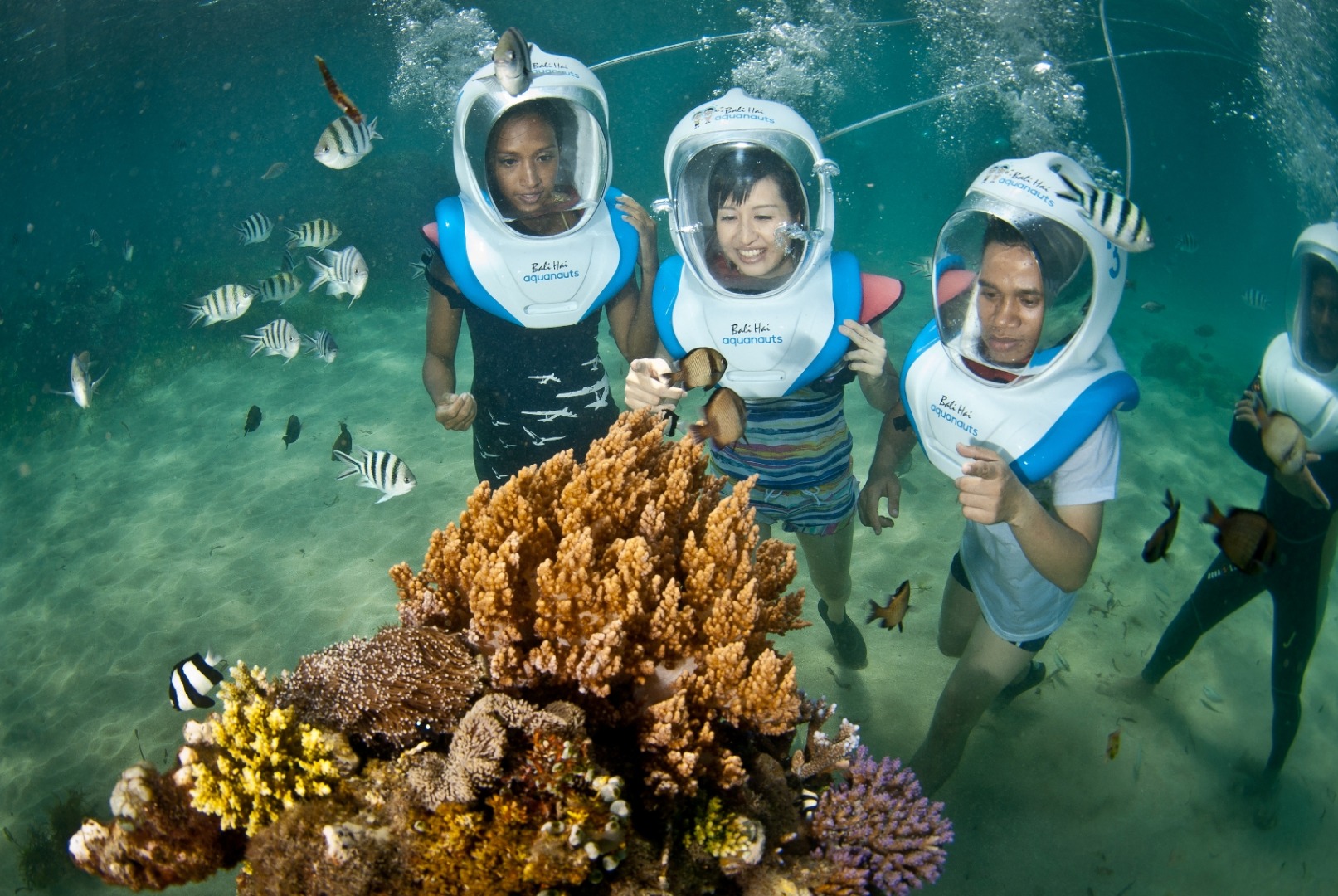 峇里島藍夢島珊瑚遊船＆水上活動（Bali Hai Cruise 提供）