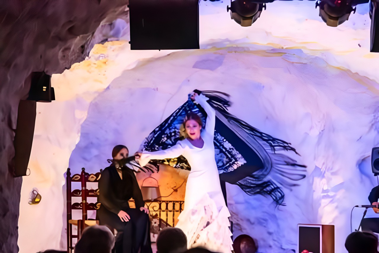格拉納達佛朗明哥表演 & 餐飲體驗