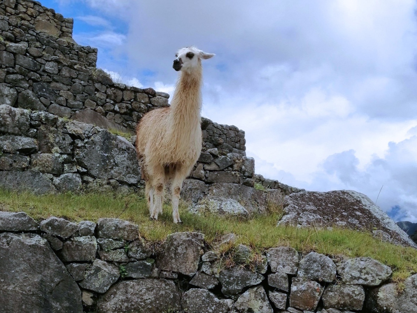 Learn about Inca history and architecture.