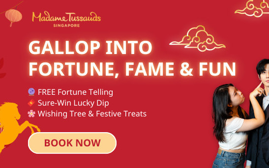 Madame Tussauds Singapore Ticket