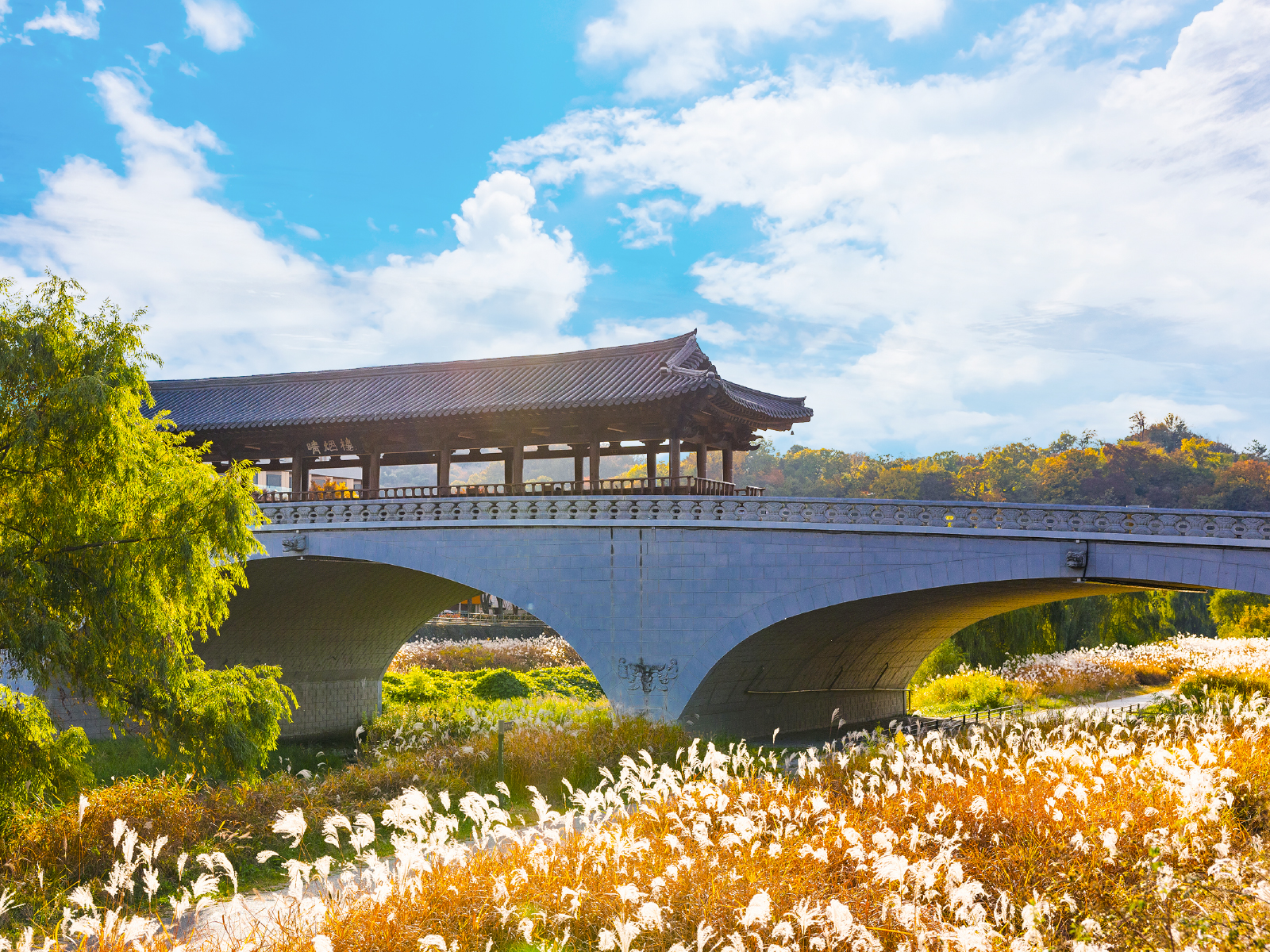 傳統韓式建築與蜿蜒古巷，當春花盛開，宛如步入一幅古典山水畫。