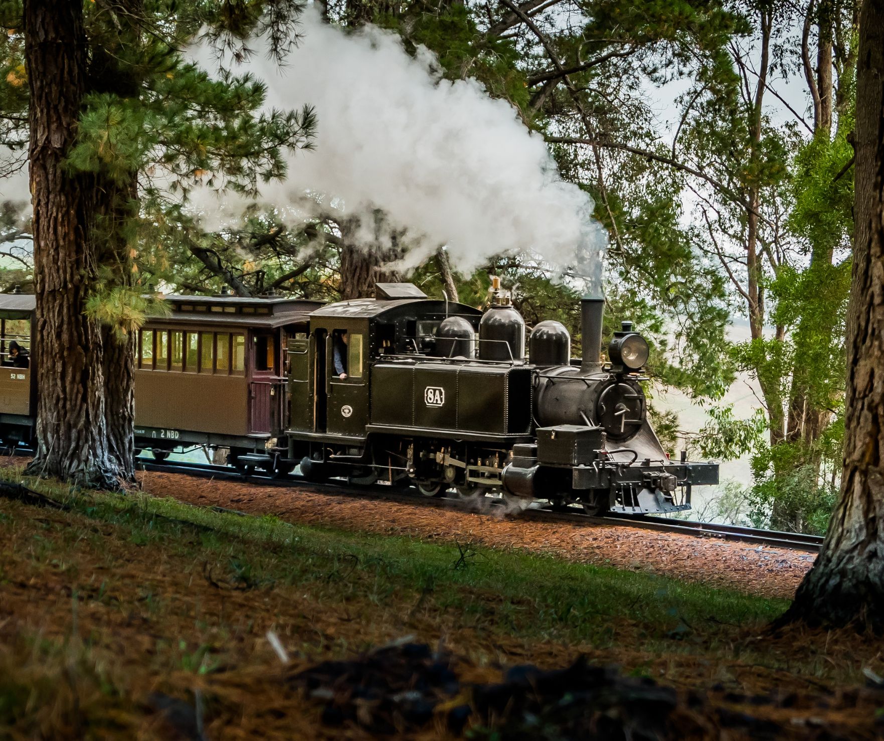 墨爾本 Puffing Billy 蒸汽火車半日遊