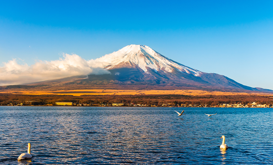 富士山與箱根「水陸空」探索之旅（贈箱根空車纜車　東京出發）