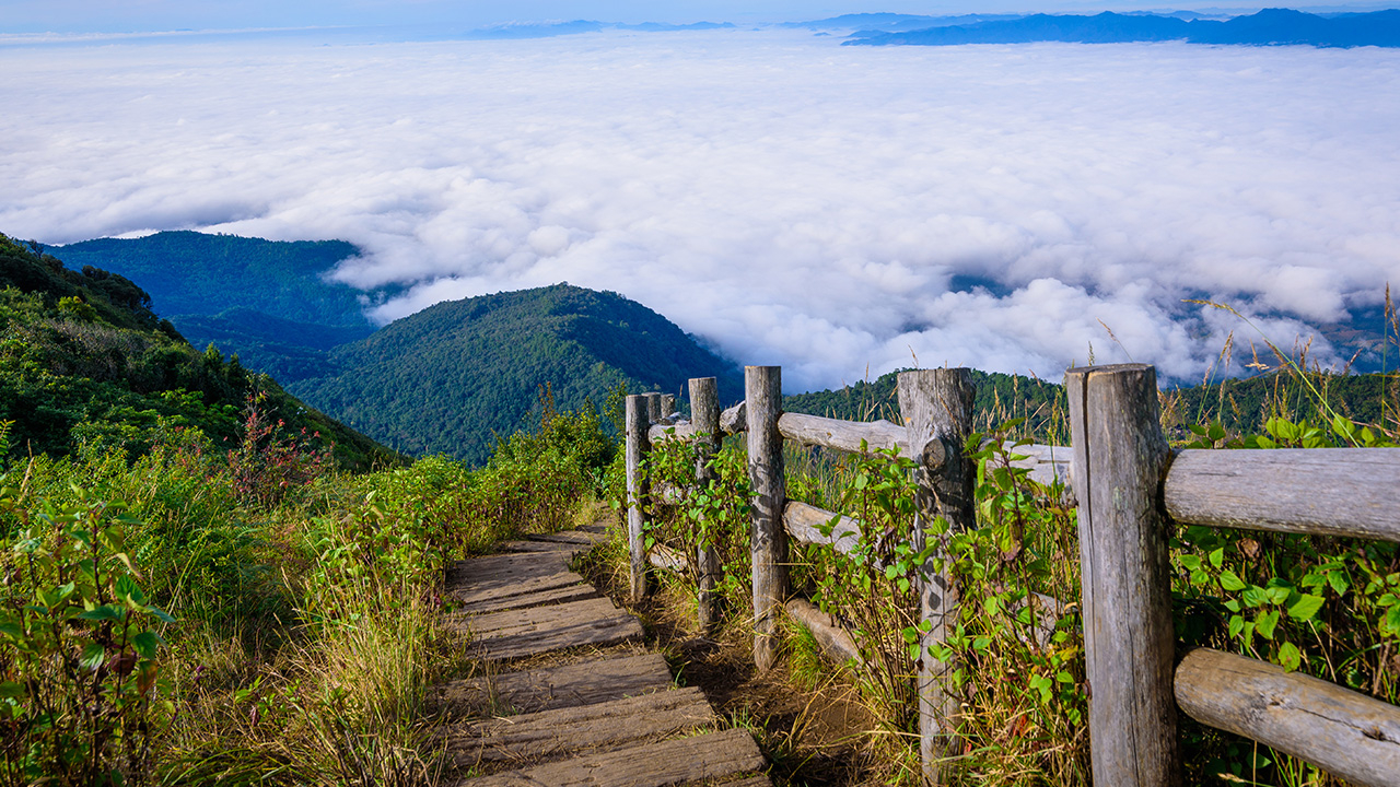 Join In Doi Inthanon National Park in Chiang Mai