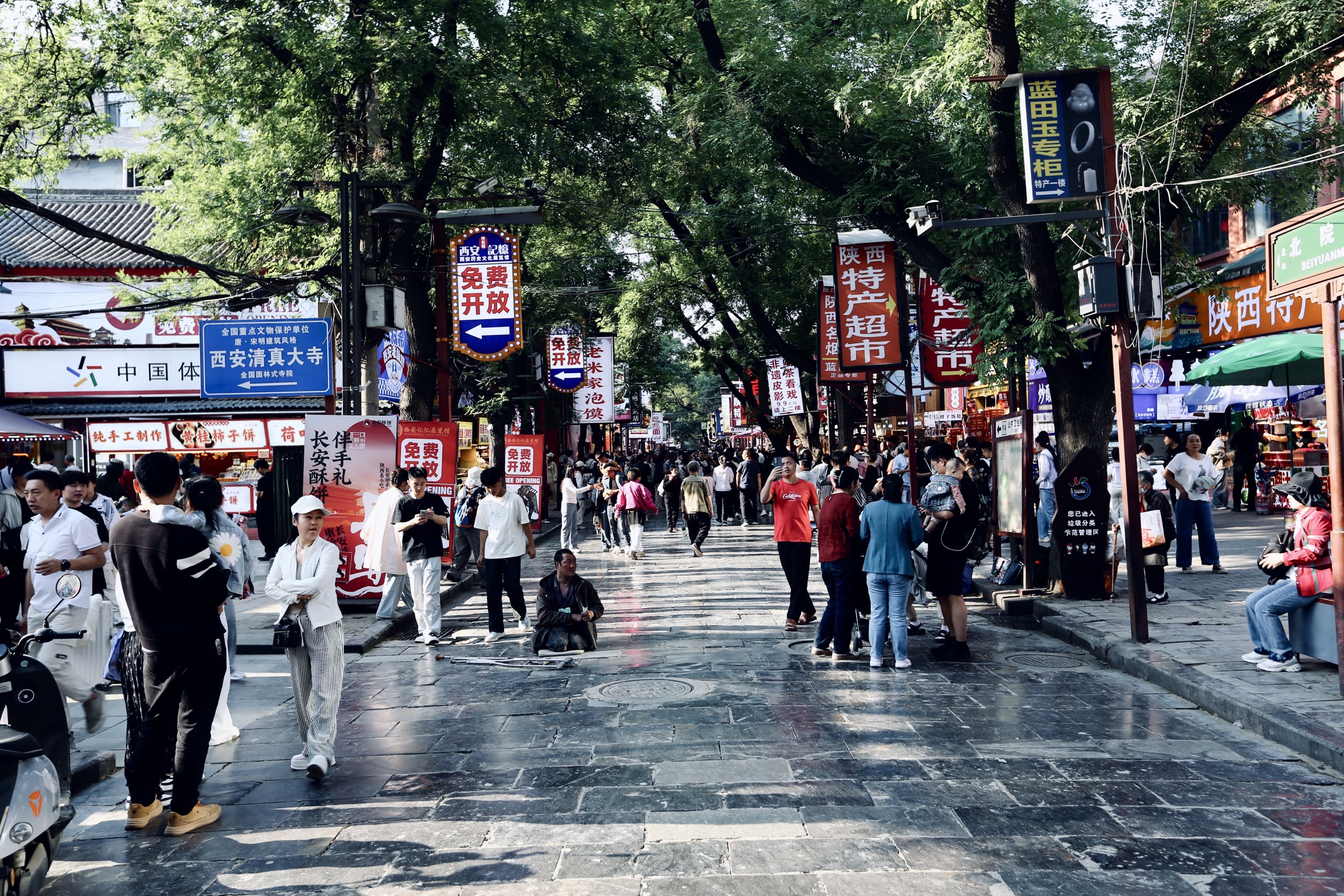 西安兵馬俑私人1日遊（兵馬俑+酒店接送+市內可選兩個景點遊覽+中英導遊全程陪同）