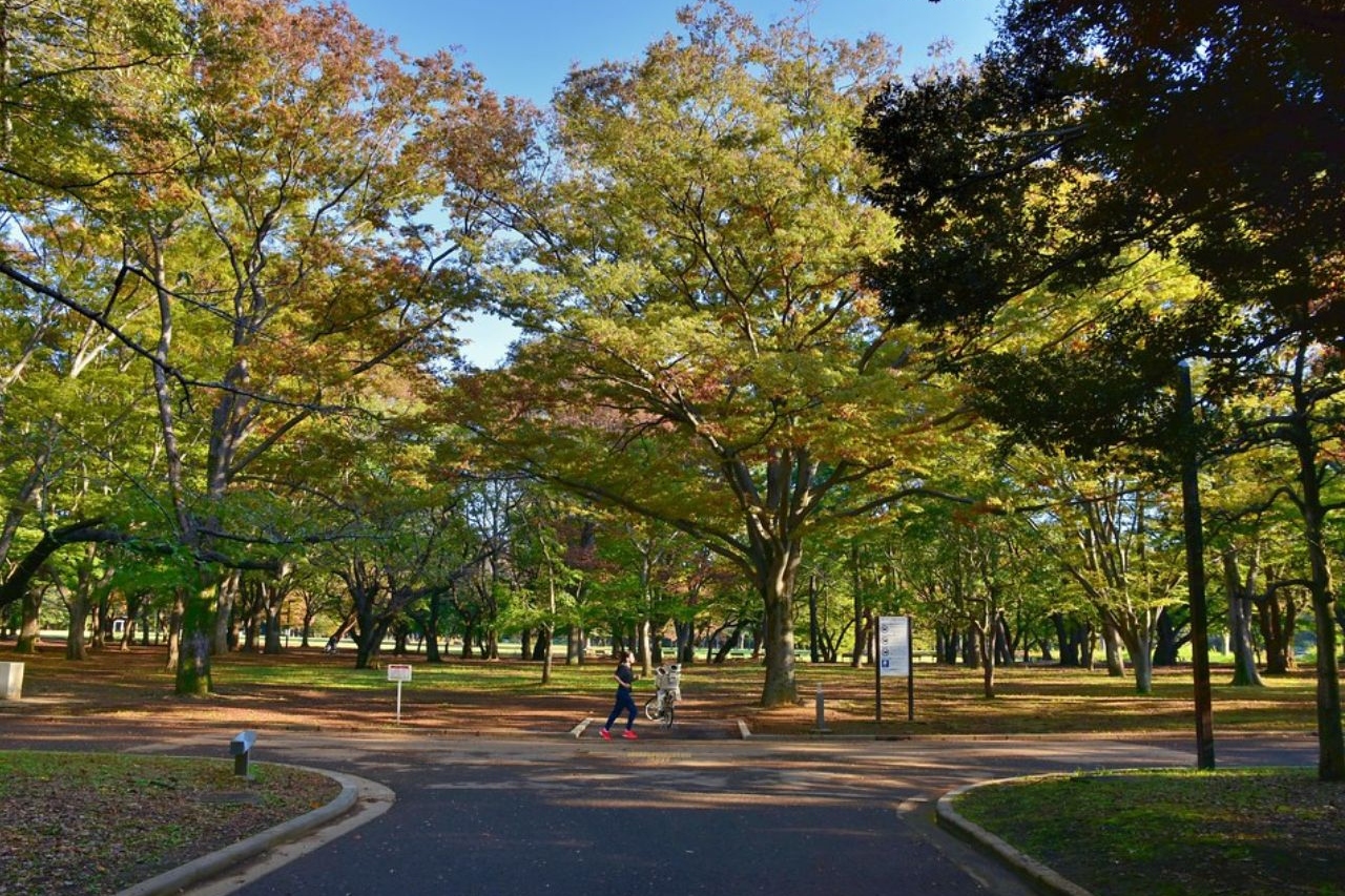 Yoyogi Park
