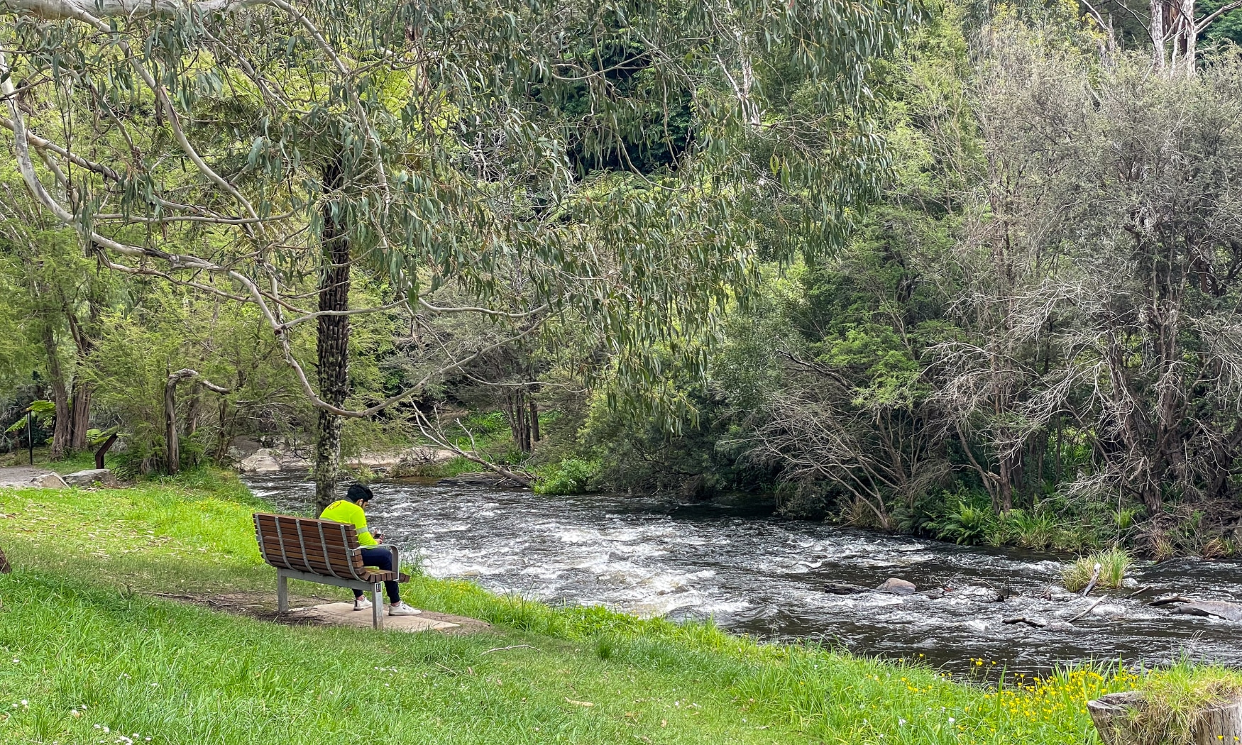 在華伯頓（Warburton）河畔小鎮享受自由時光，非常適合悠閒地享用午餐。