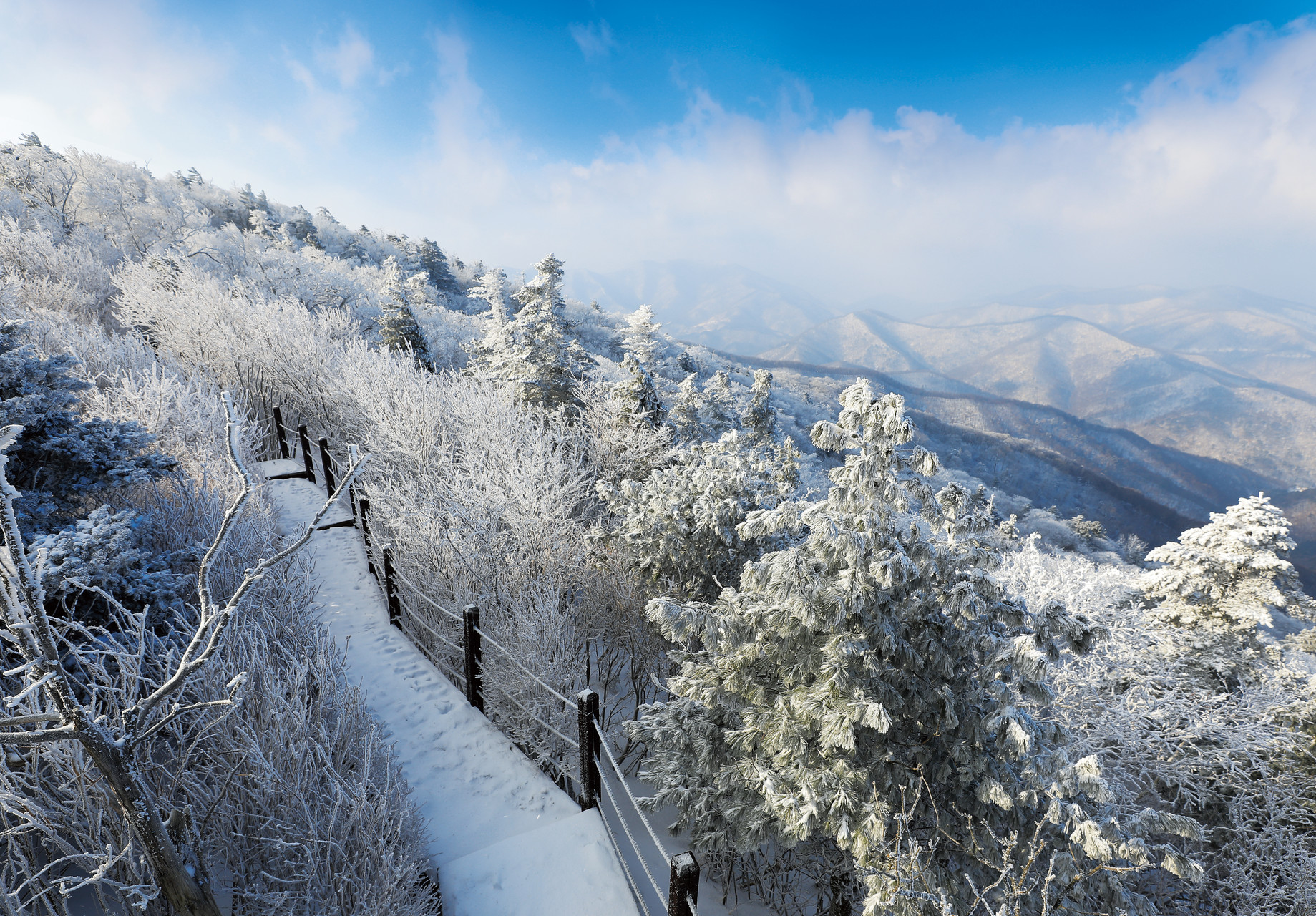 龍平滑雪度假村2天1夜之旅（首爾出發）