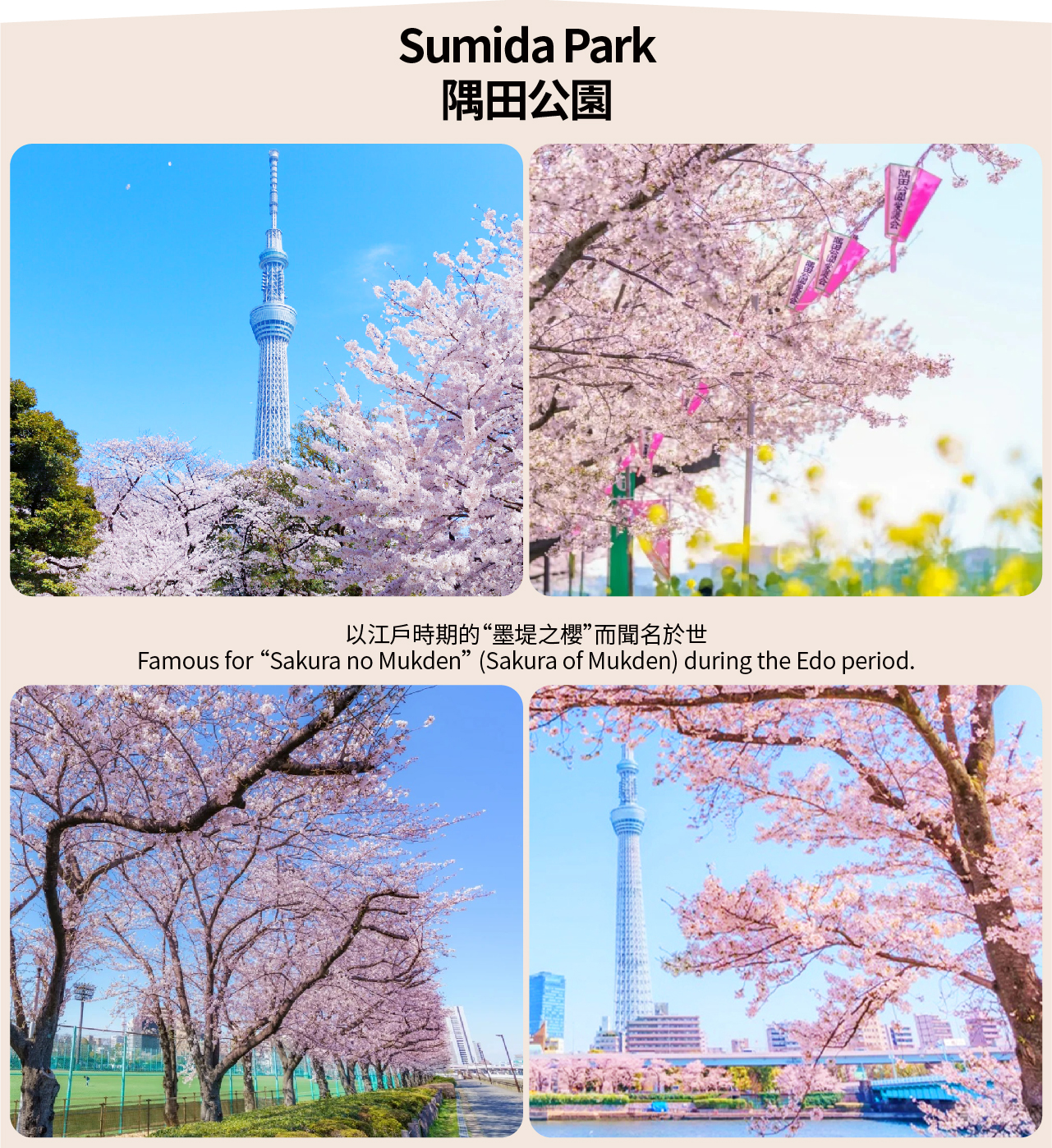 【櫻花季限定東京賞櫻】新宿御苑&千鳥淵&上野恩賜公園&隅田公園&目黑川賞櫻花一日遊（東京出發）