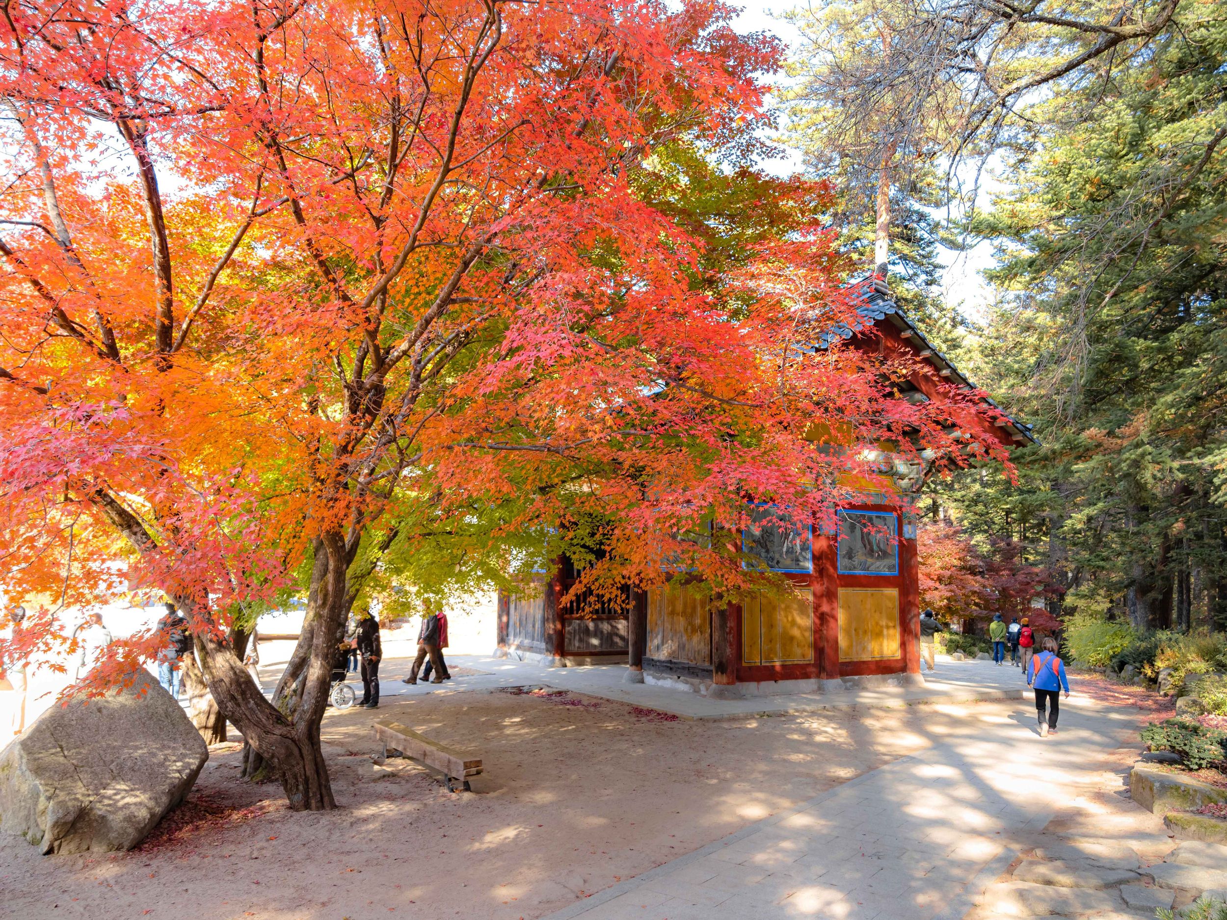 Balwangsan Cable Car from Seoul: Scenic Highland Views&Forest Trails