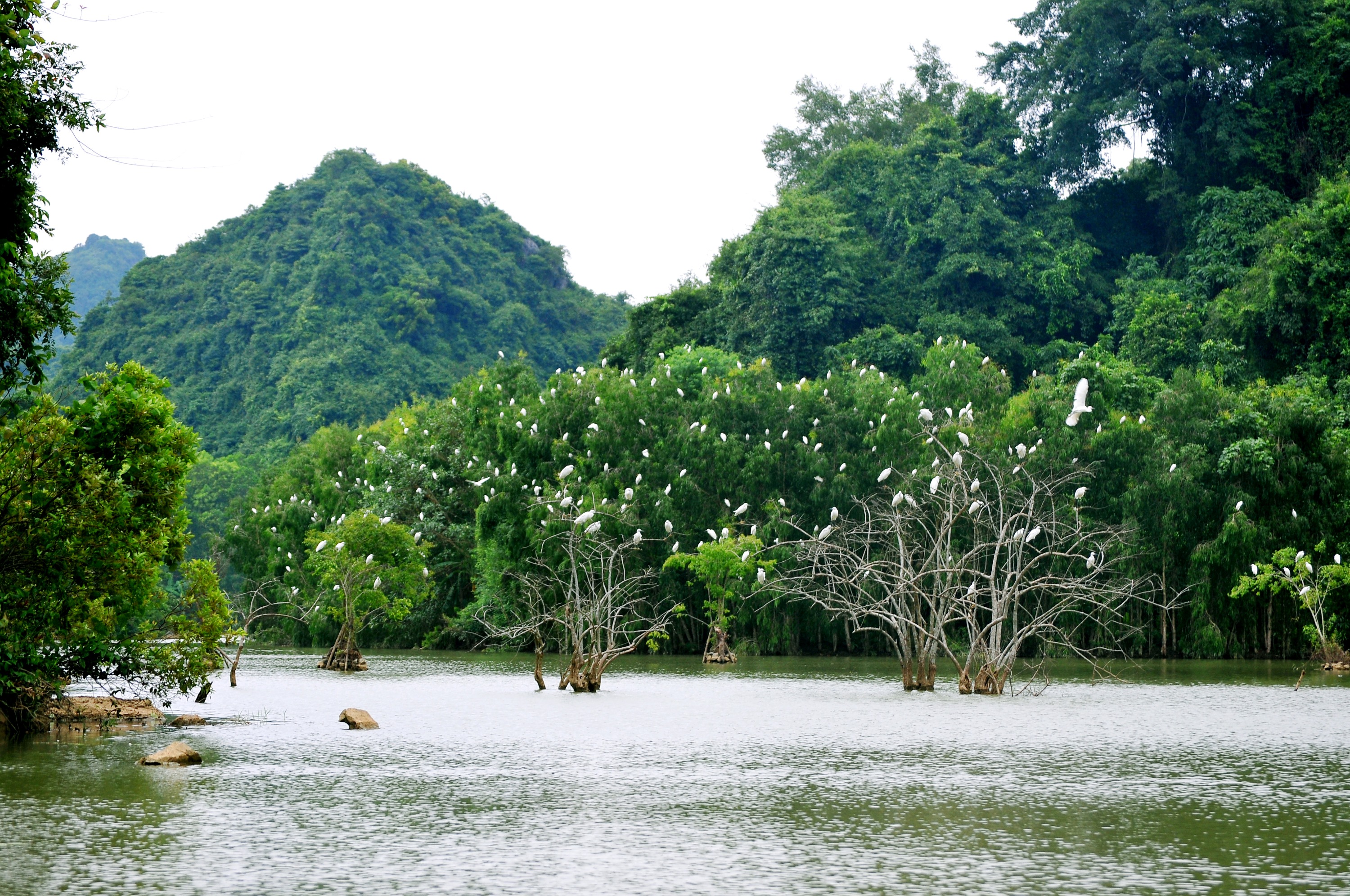 Thung Nham Bird Park Ticket